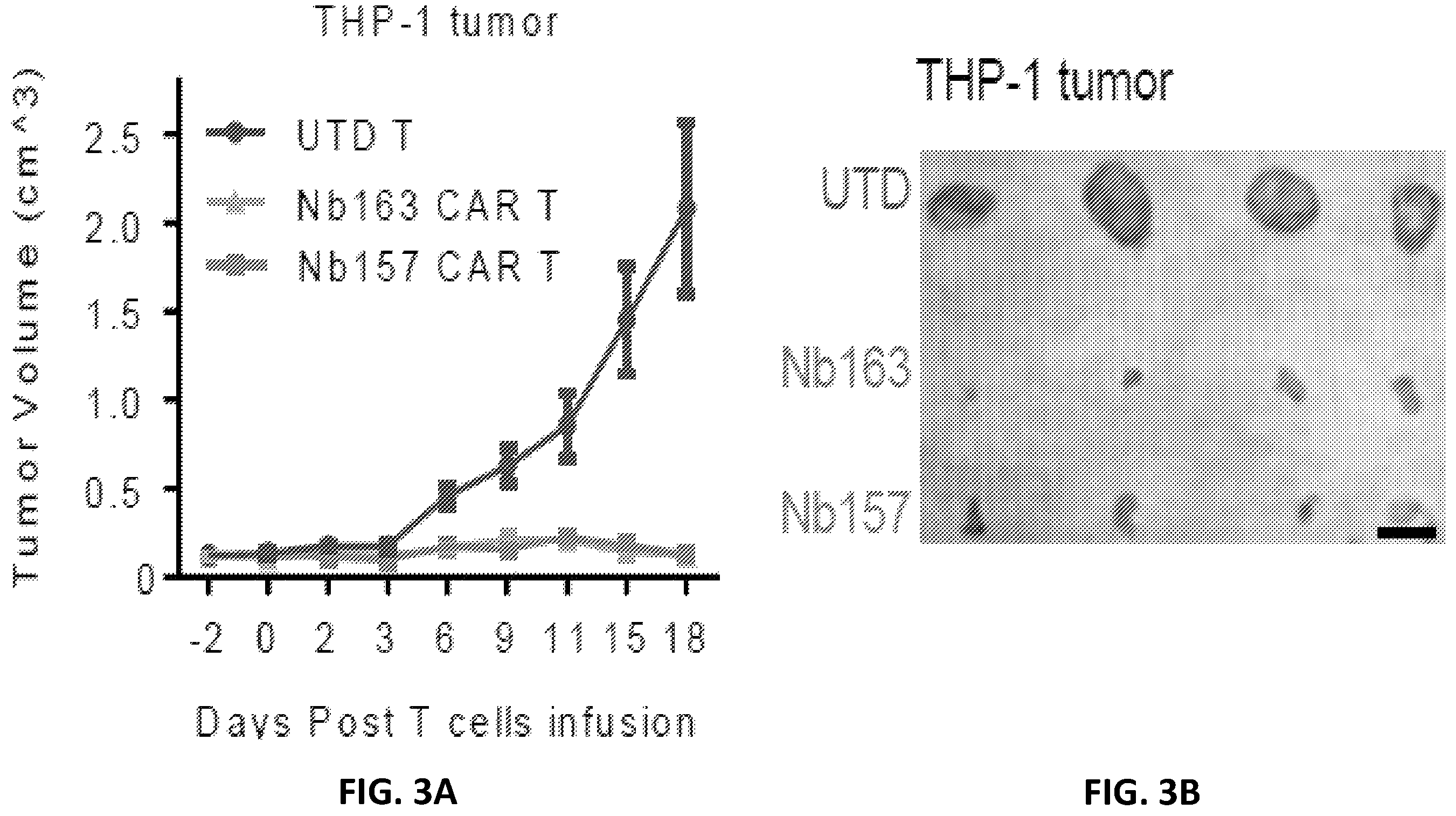 Patent US12410234 Figure 8 – Compositions and methods for retrieving tumor-related antibodies and antigens