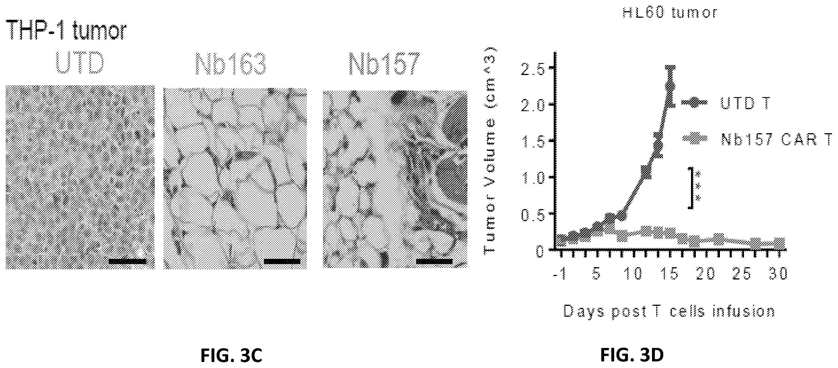 Patent US12410234 Figure 9 – Compositions and methods for retrieving tumor-related antibodies and antigens