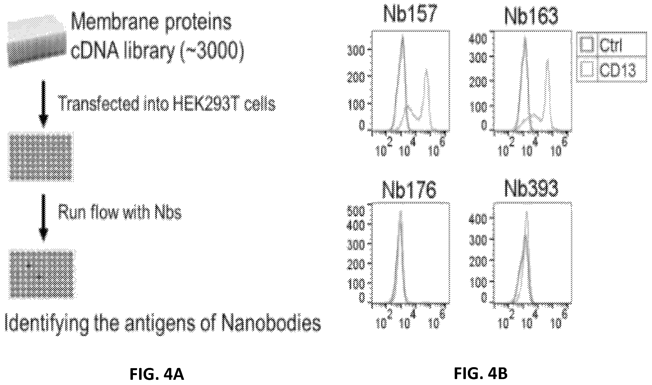 Patent US12410234 Figure 11 – Compositions and methods for retrieving tumor-related antibodies and antigens