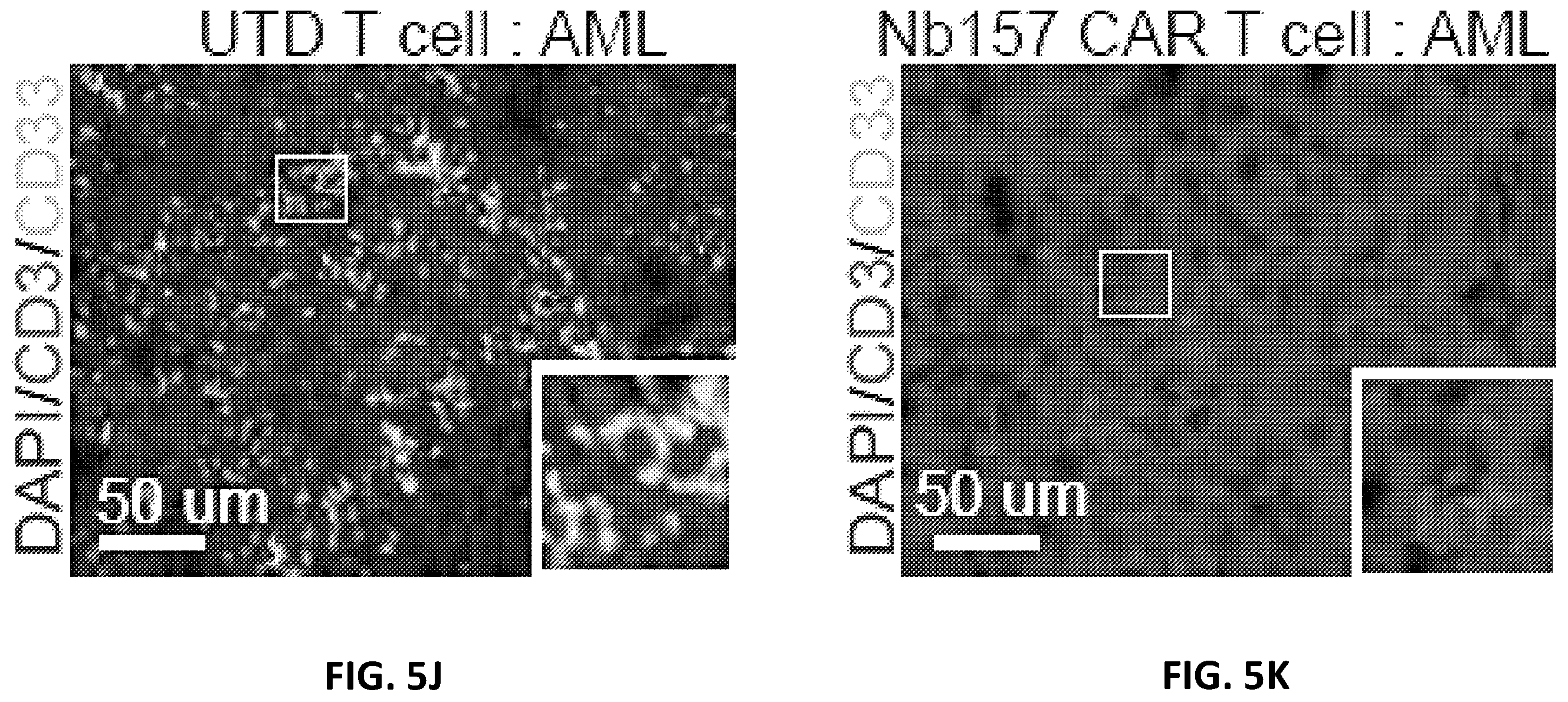 Patent US12410234 Figure 16 – Compositions and methods for retrieving tumor-related antibodies and antigens