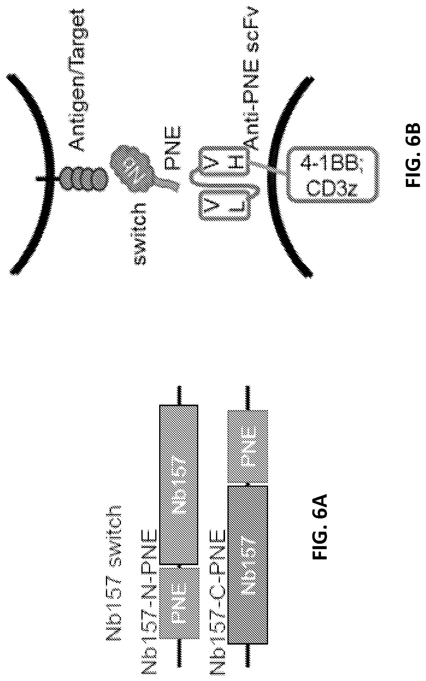 Patent US12410234 Figure 17 – Compositions and methods for retrieving tumor-related antibodies and antigens