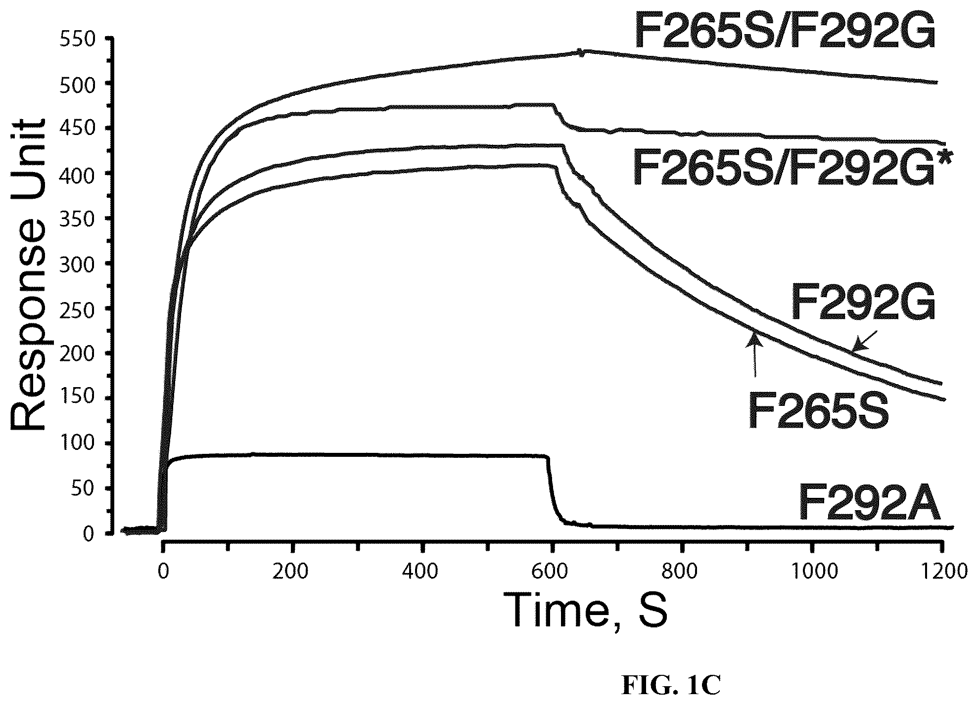 Patent US12410235 Figure 2 – I domain chimeric antigen receptor specific to ICAM-1