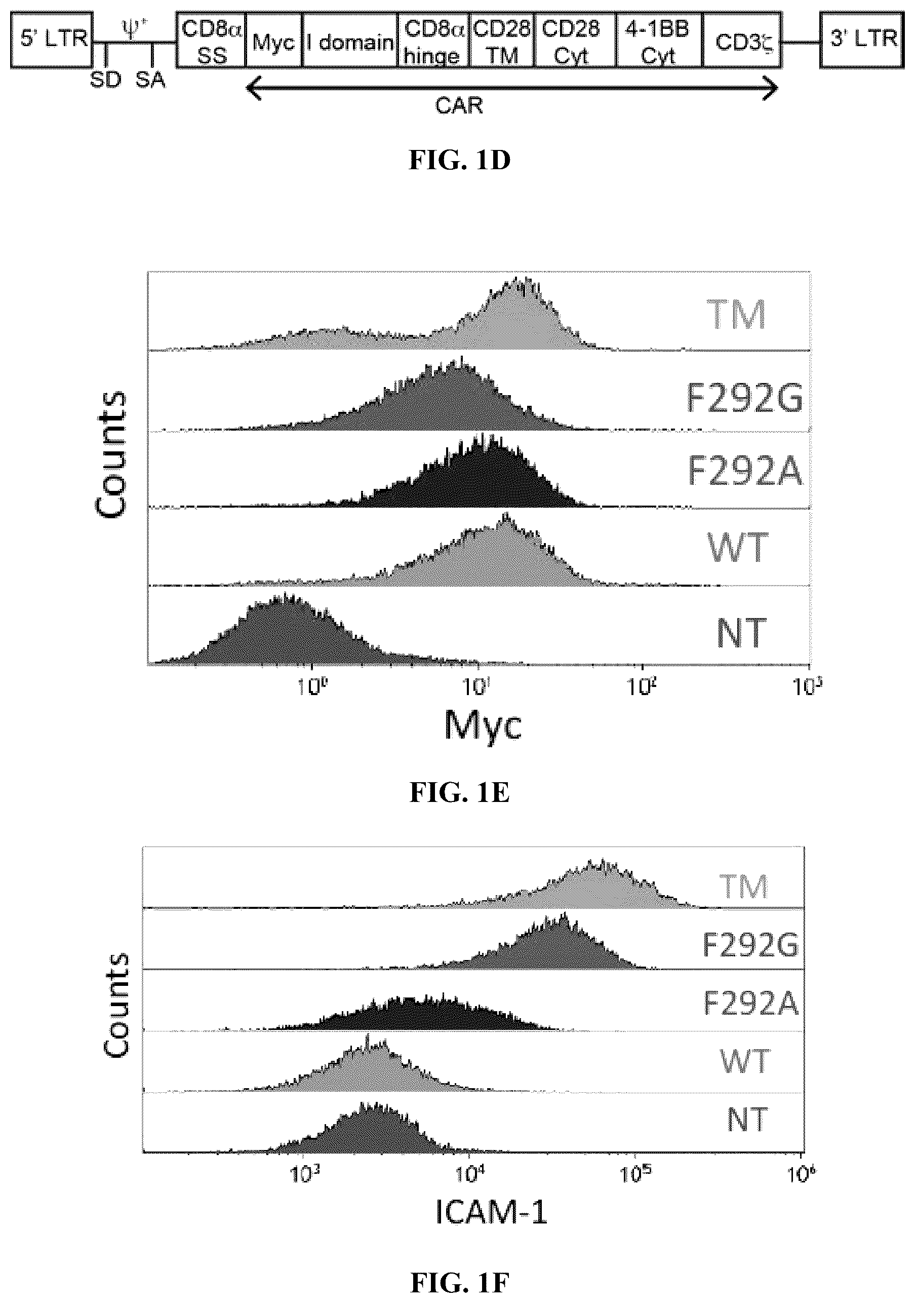 Patent US12410235 Figure 3 – I domain chimeric antigen receptor specific to ICAM-1