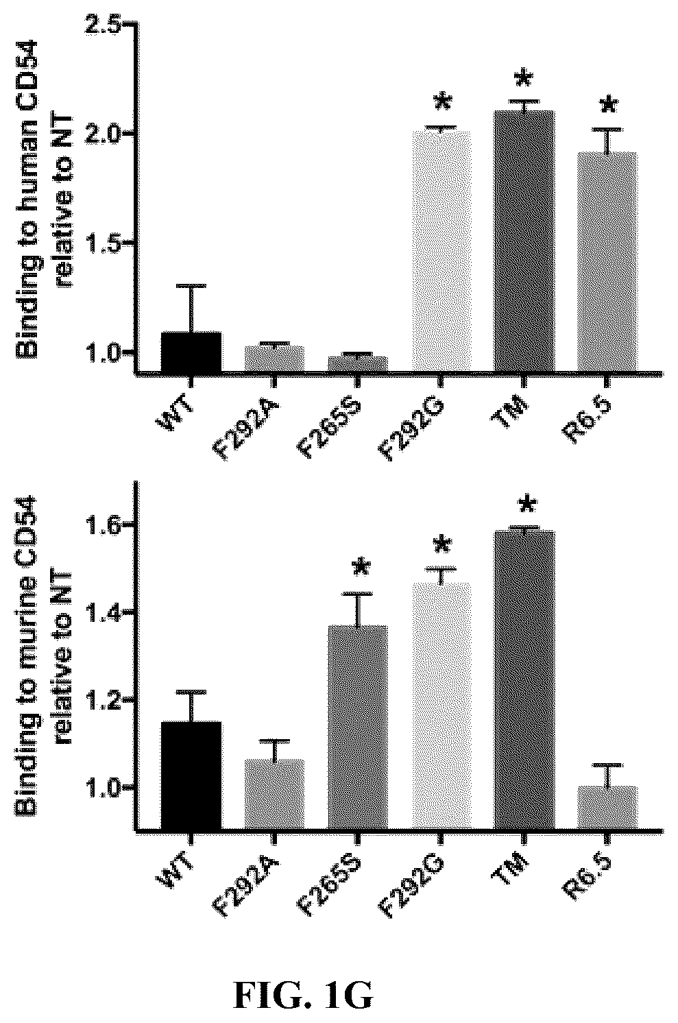 Patent US12410235 Figure 4 – I domain chimeric antigen receptor specific to ICAM-1