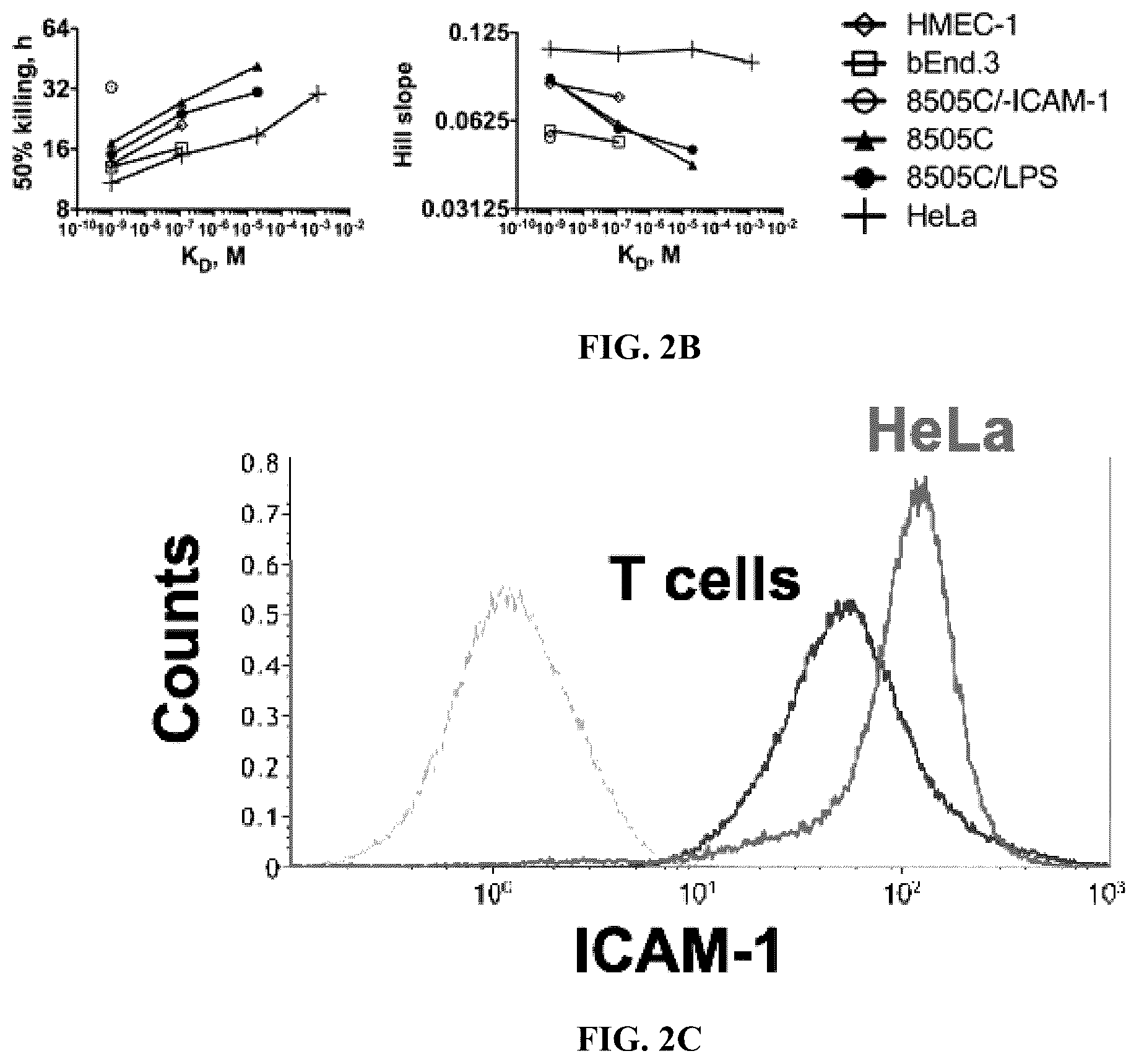 Patent US12410235 Figure 6 – I domain chimeric antigen receptor specific to ICAM-1