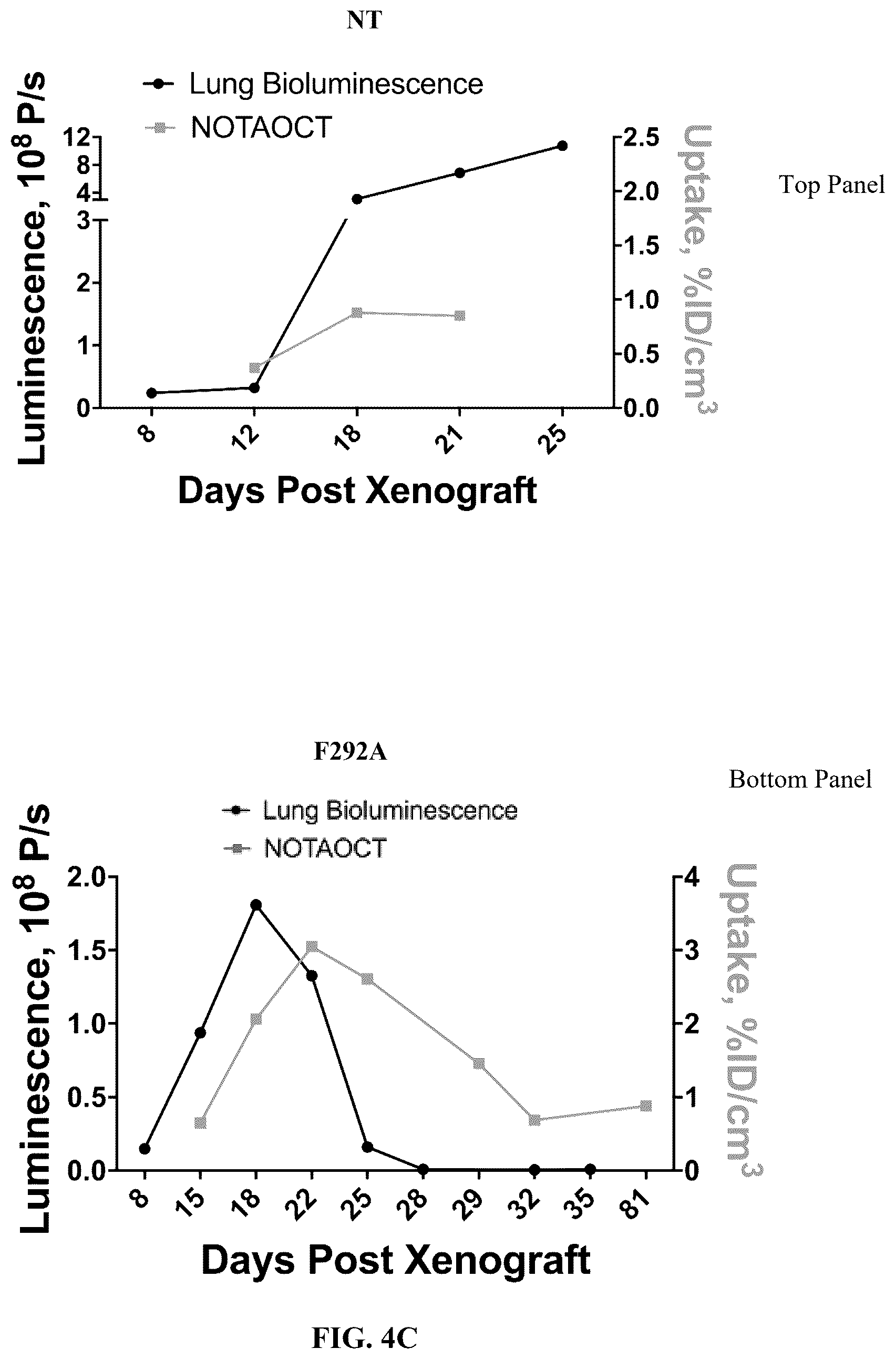 Patent US12410235 Figure 12 – I domain chimeric antigen receptor specific to ICAM-1