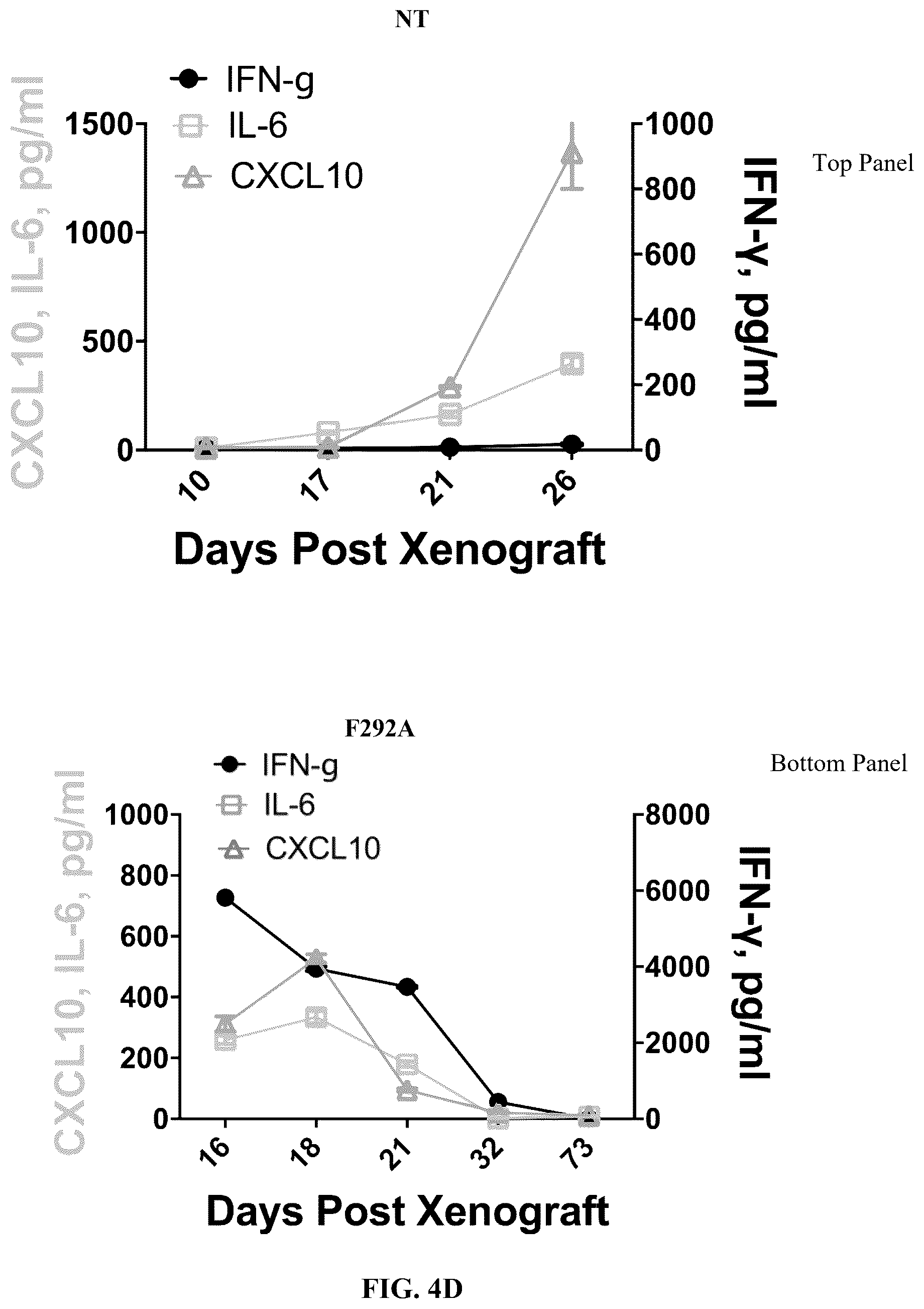 Patent US12410235 Figure 13 – I domain chimeric antigen receptor specific to ICAM-1