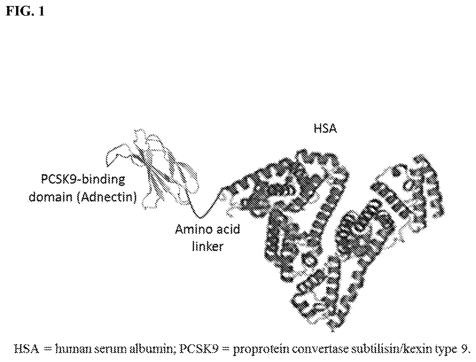 Patent US12410236 Figure 1 – Compositions comprising PCSK9-binding molecules and methods of use