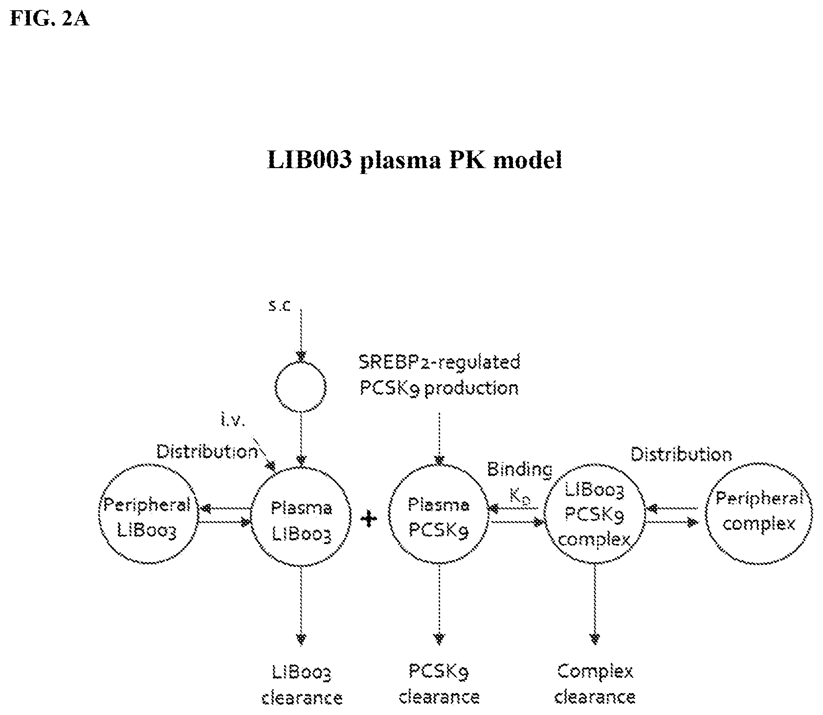 Patent US12410236 Figure 2 – Compositions comprising PCSK9-binding molecules and methods of use