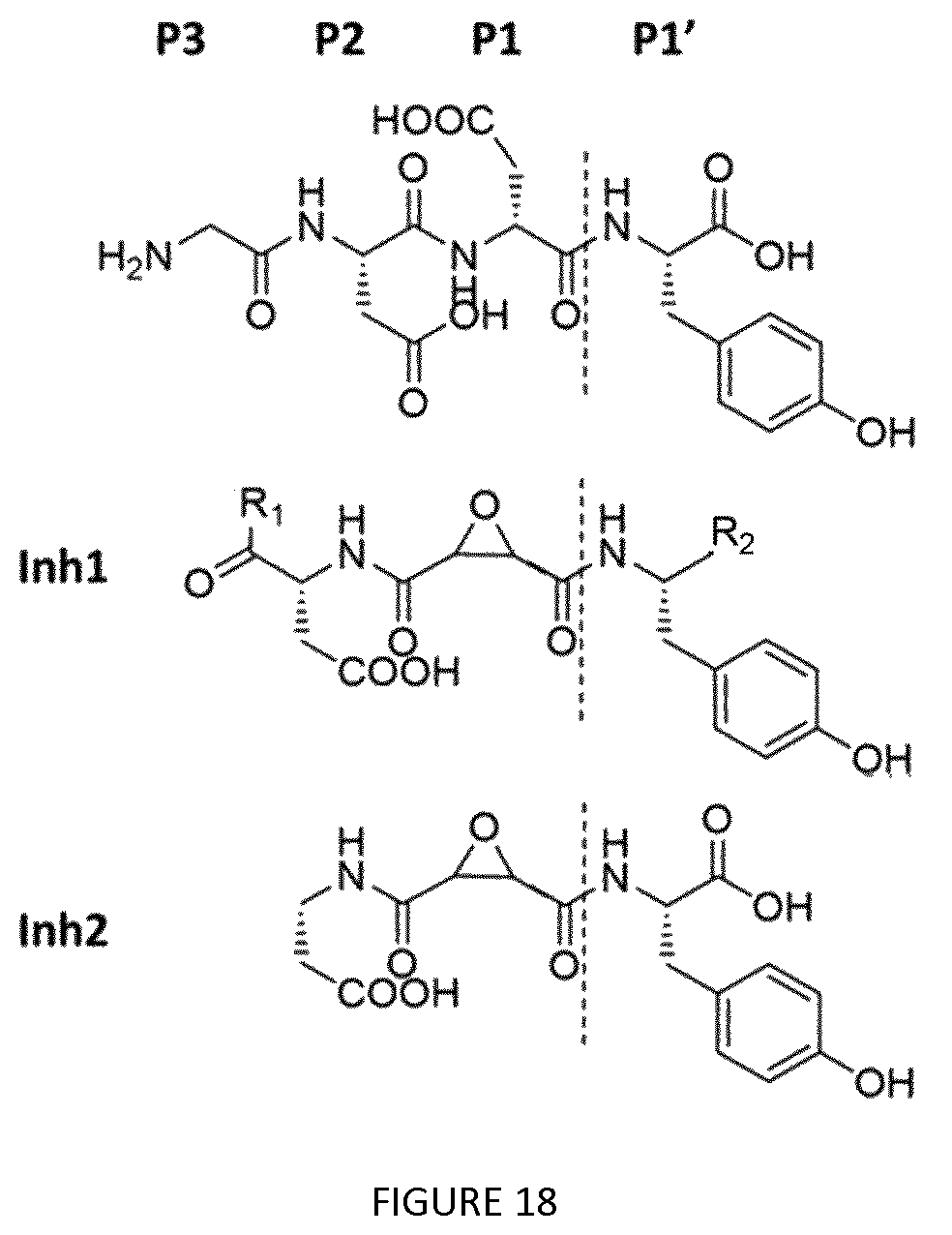 Patent US12410237 Figure 11 – Methods for purifying proteins having a tubulin carboxypeptidase activity and peptidic based inhibitors thereof