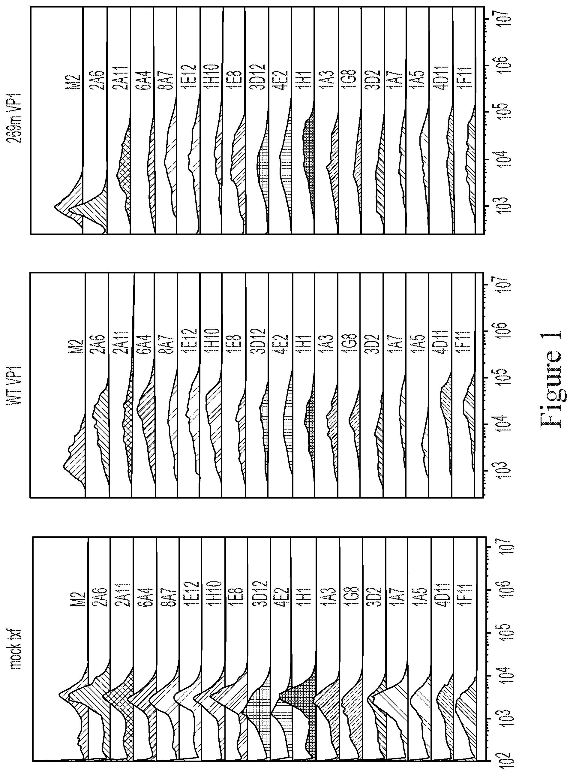 Patent US12410238 Figure 1 – Monoclonal antibodies against JC virus
