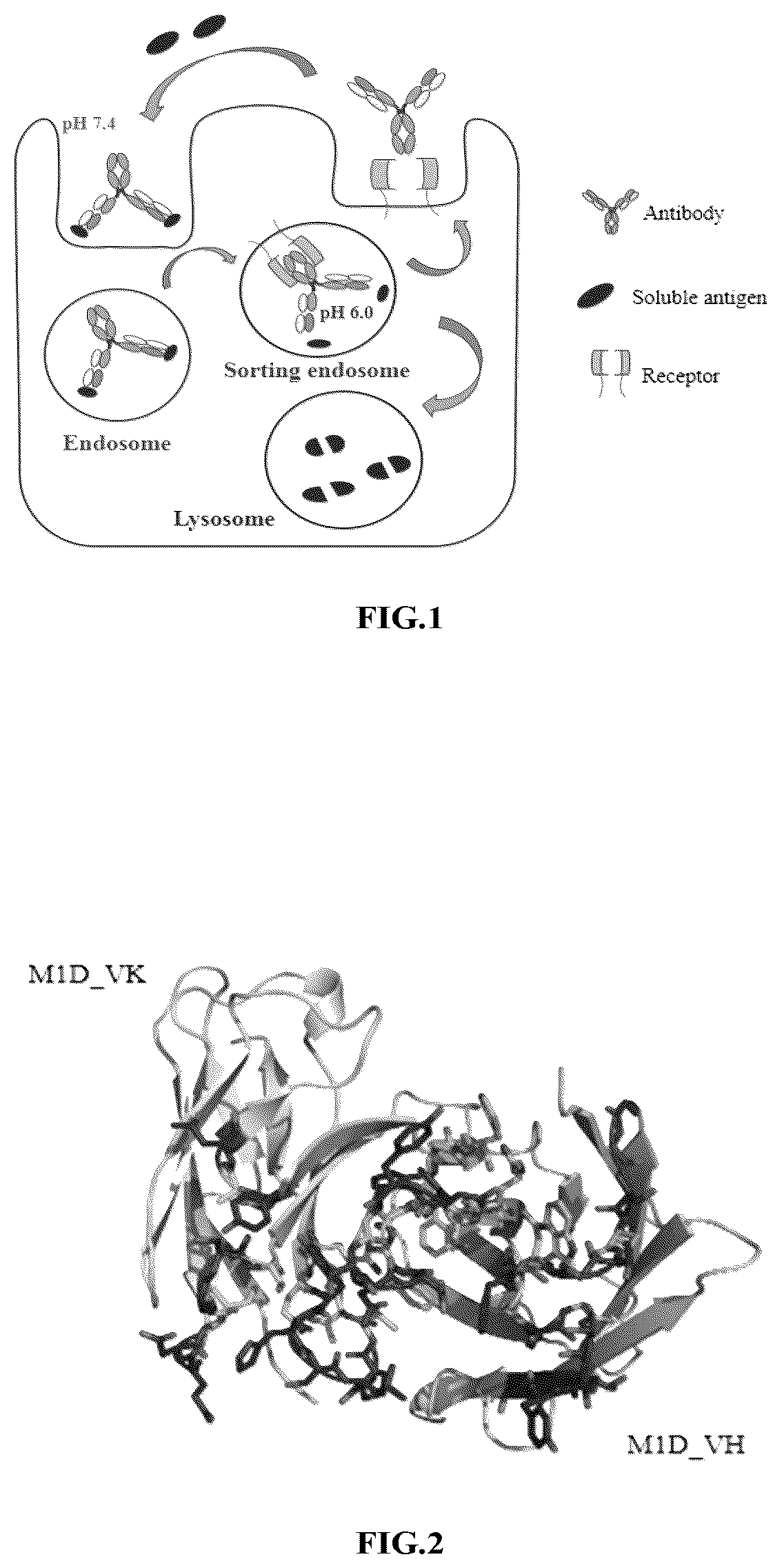 Patent US12410239 Figure 1 – Anti-hepatitis B virus antibody and uses thereof