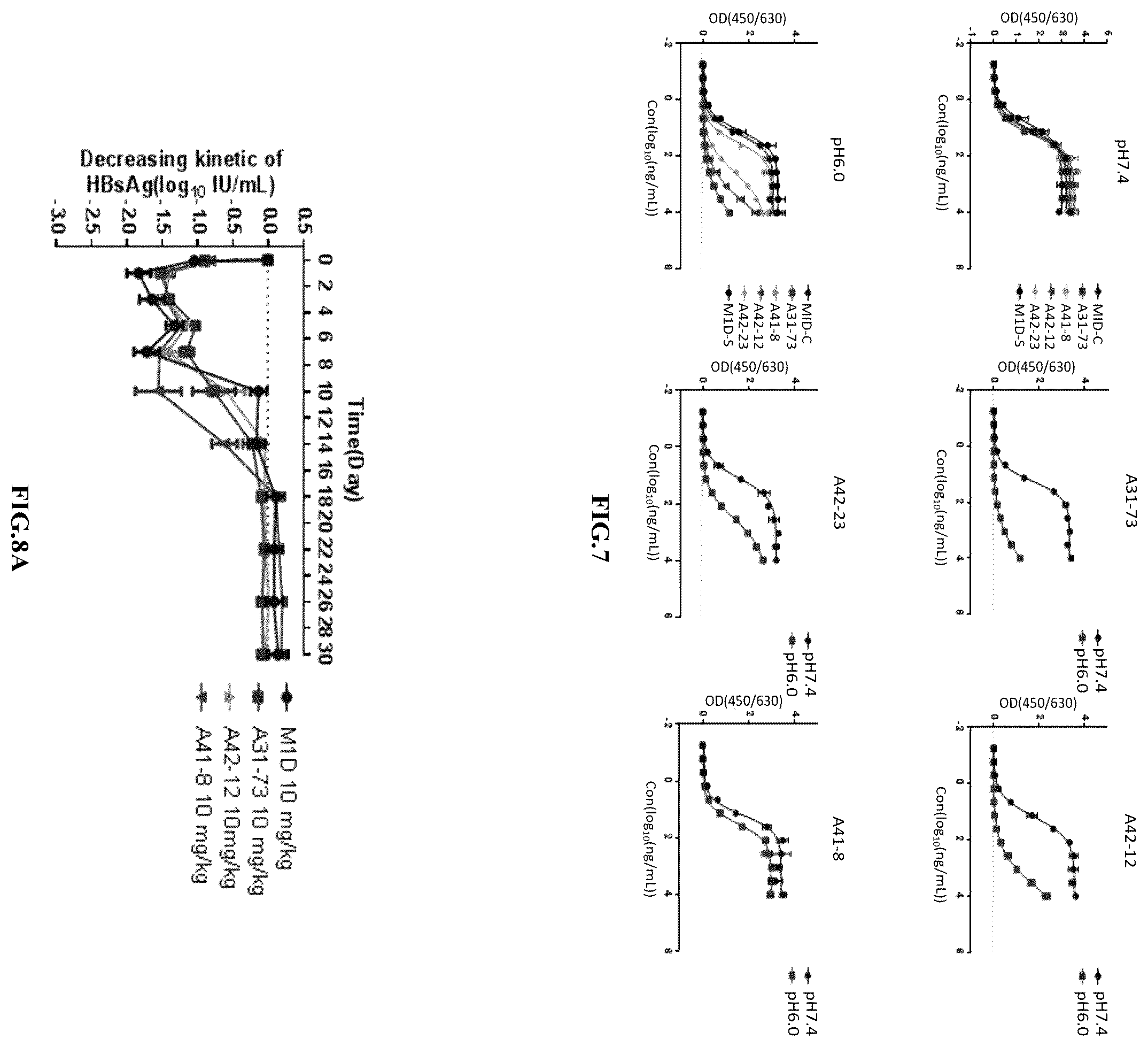 Patent US12410239 Figure 6 – Anti-hepatitis B virus antibody and uses thereof