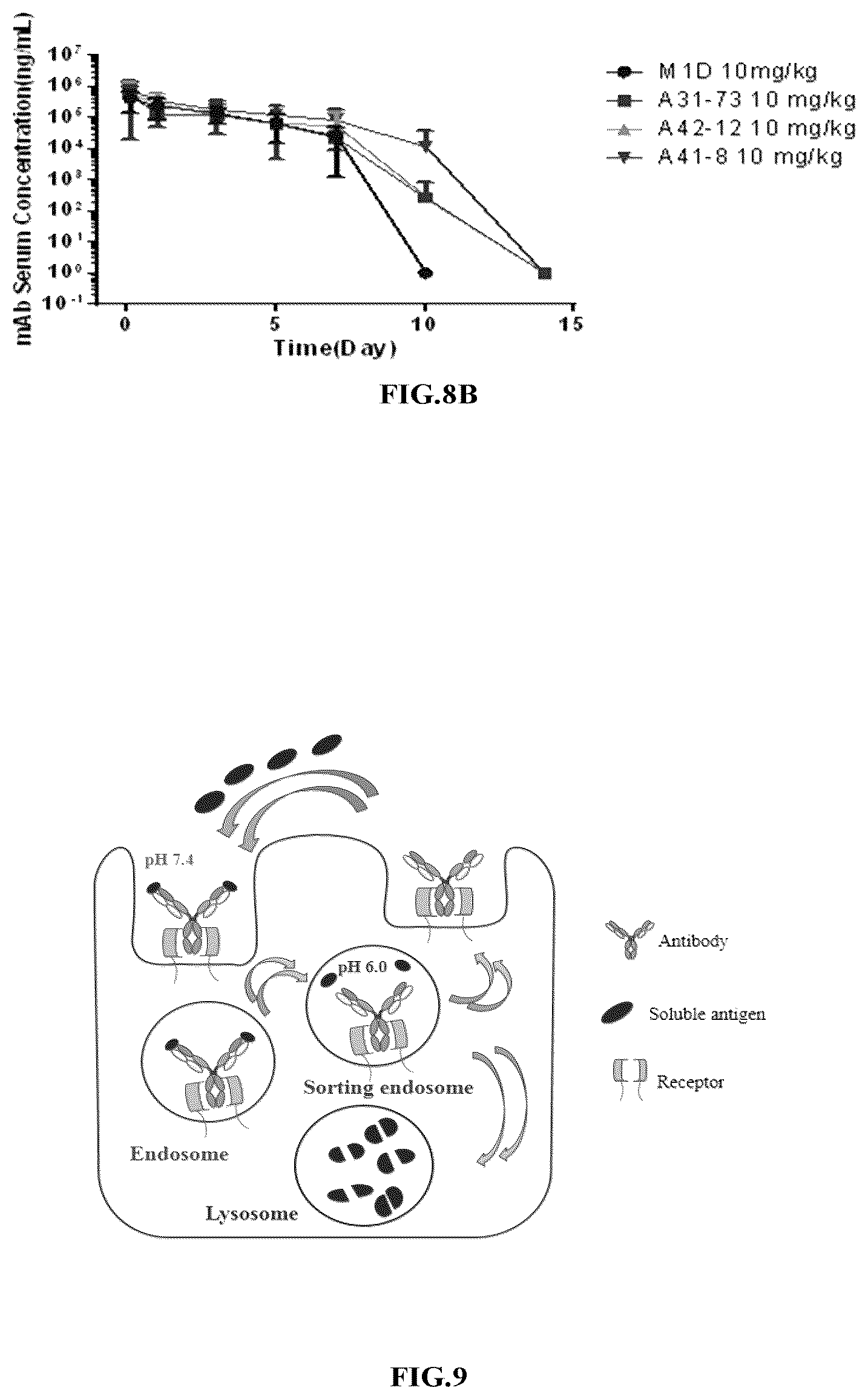 Patent US12410239 Figure 7 – Anti-hepatitis B virus antibody and uses thereof