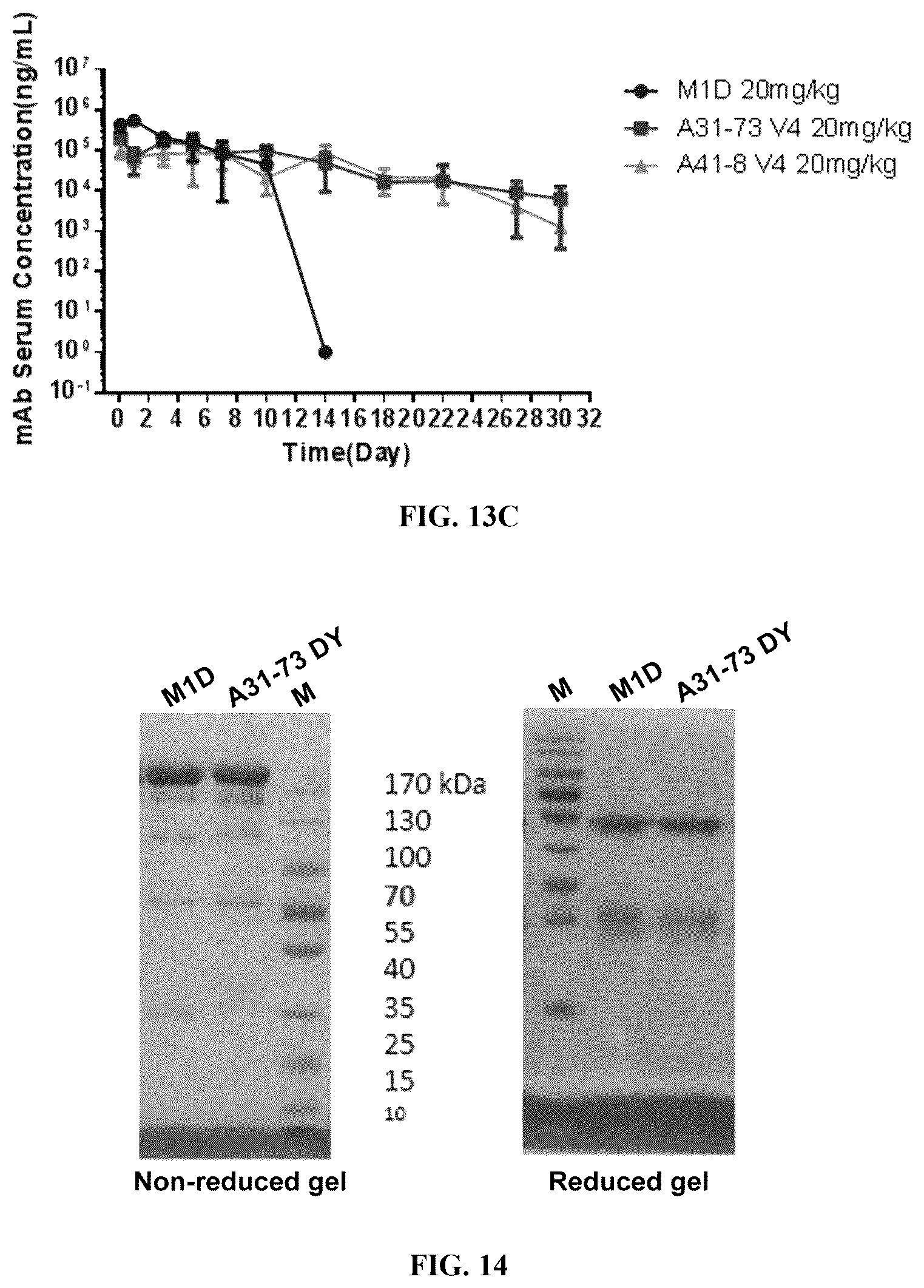 Patent US12410239 Figure 11 – Anti-hepatitis B virus antibody and uses thereof