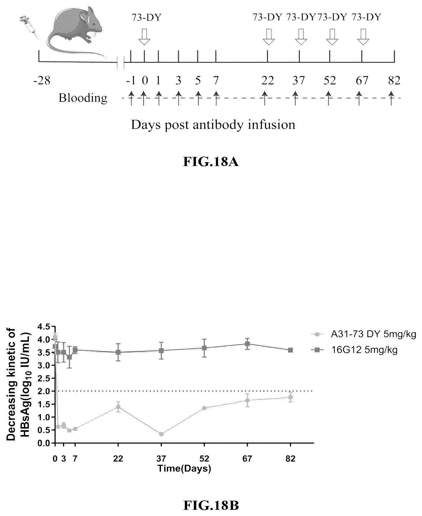 Patent US12410239 Figure 14 – Anti-hepatitis B virus antibody and uses thereof
