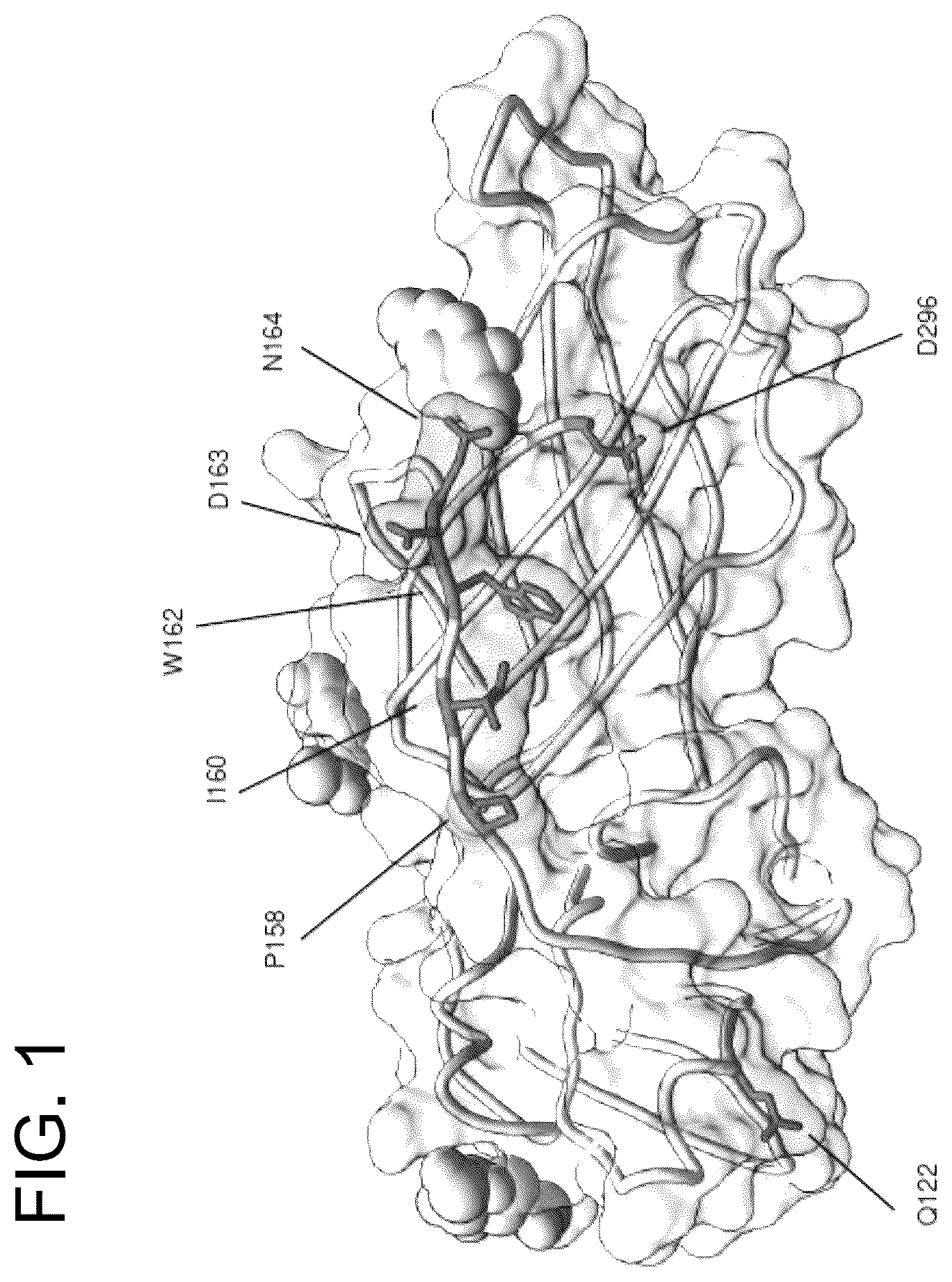Patent US12410240 — Antibodies and methods for the diagnosis and treatment of Epstein Barr virus infection — Figure 1