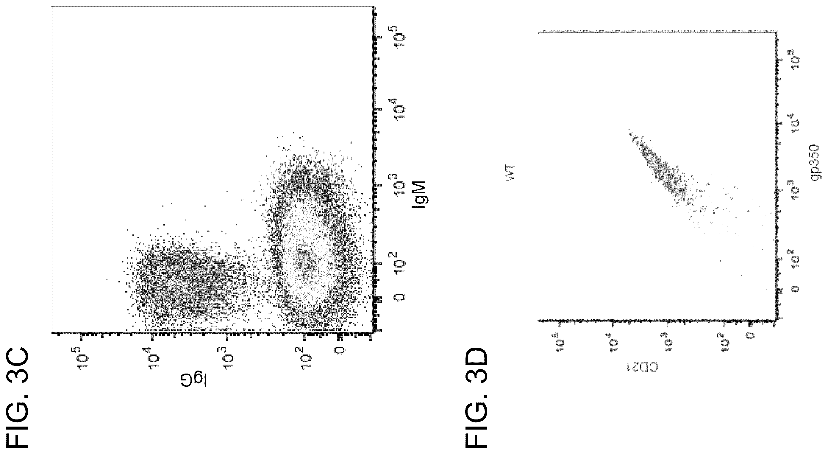 Patent US12410240 Figure 4 – Antibodies and methods for the diagnosis and treatment of Epstein Barr virus infection