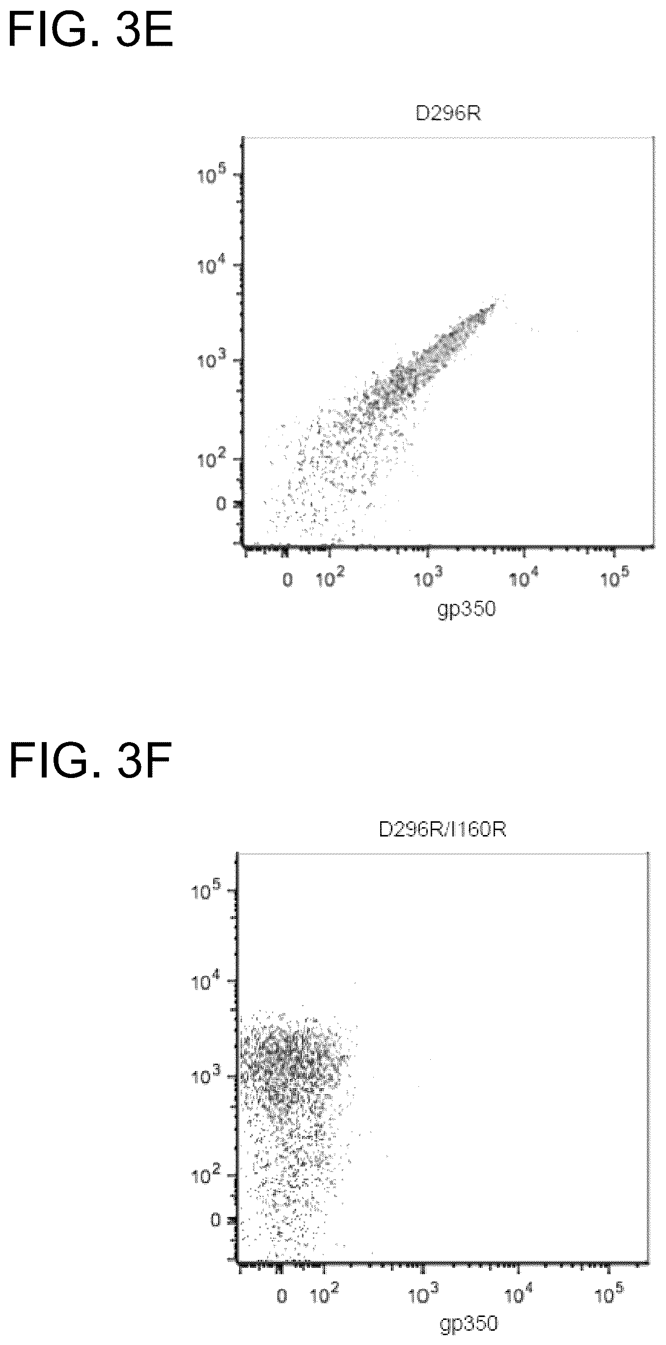 Patent US12410240 Figure 5 – Antibodies and methods for the diagnosis and treatment of Epstein Barr virus infection