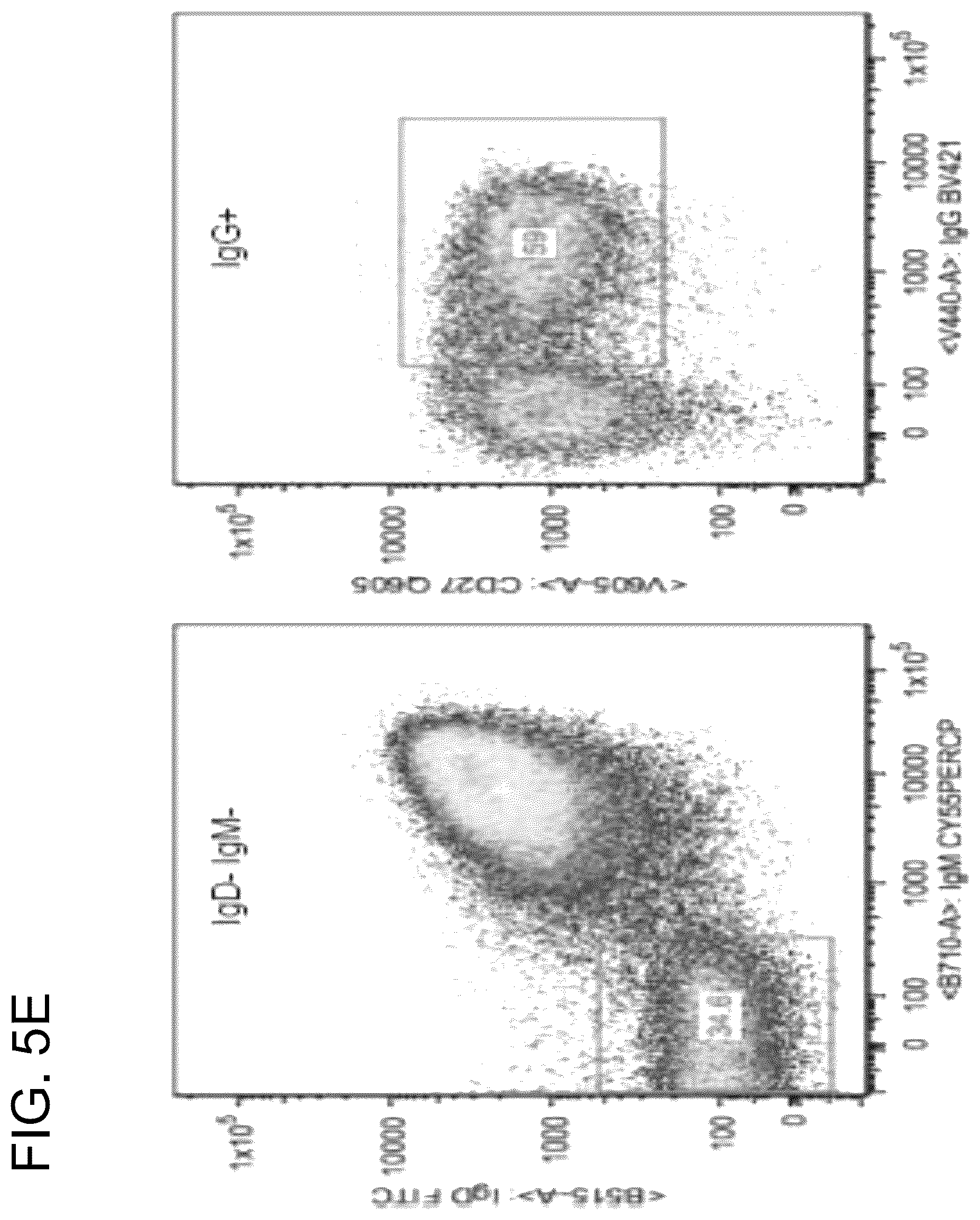 Patent US12410240 Figure 10 – Antibodies and methods for the diagnosis and treatment of Epstein Barr virus infection