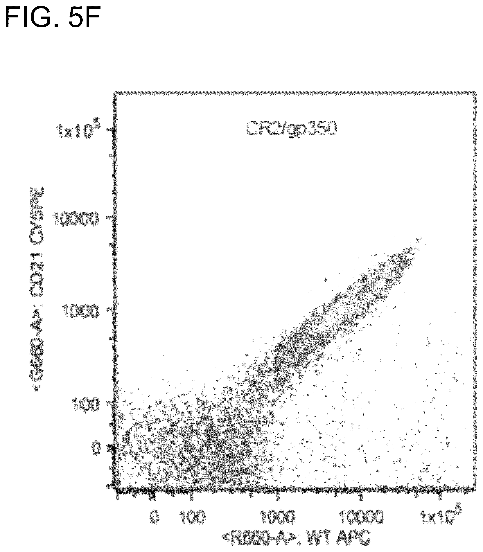 Patent US12410240 Figure 11 – Antibodies and methods for the diagnosis and treatment of Epstein Barr virus infection