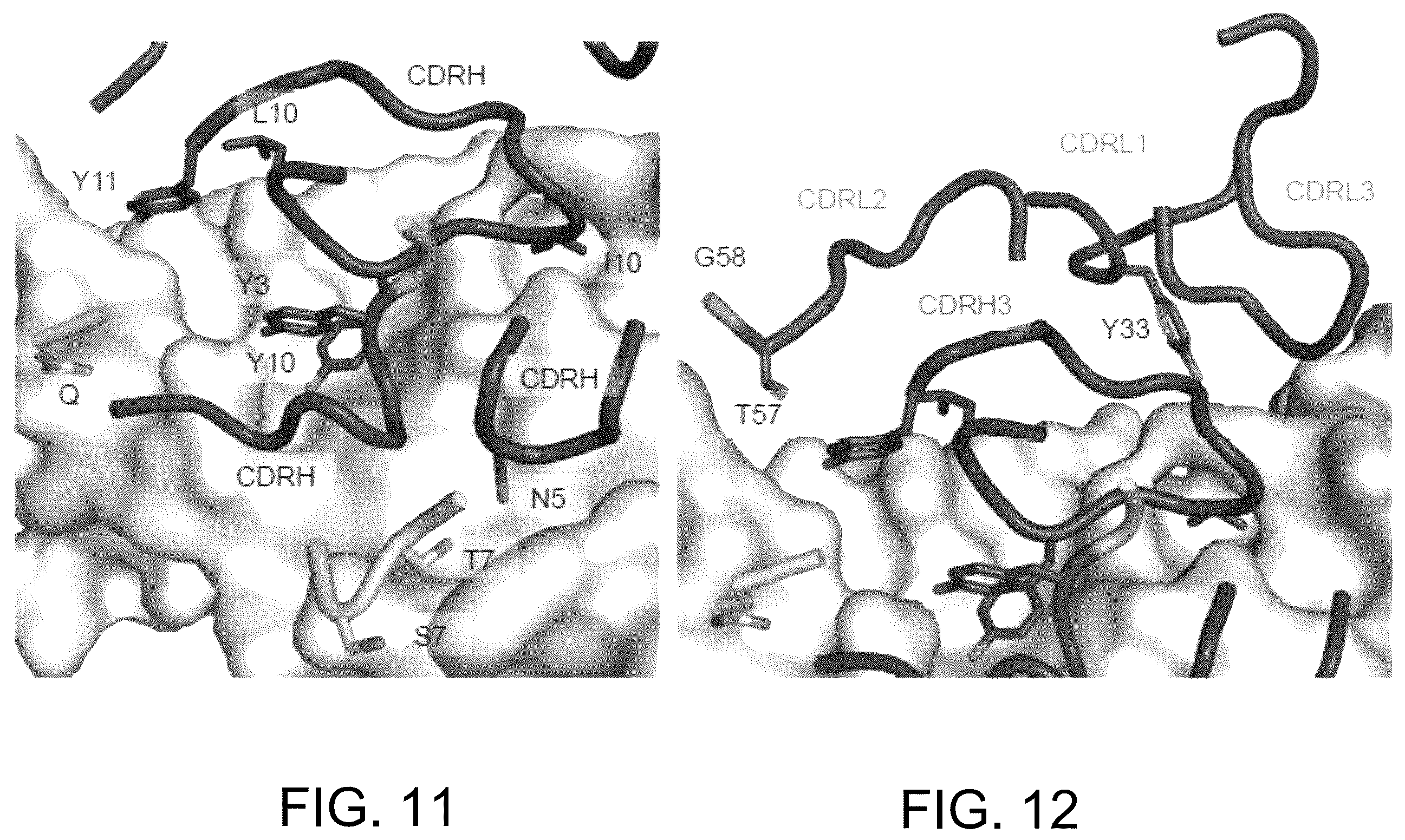 Patent US12410240 Figure 19 – Antibodies and methods for the diagnosis and treatment of Epstein Barr virus infection