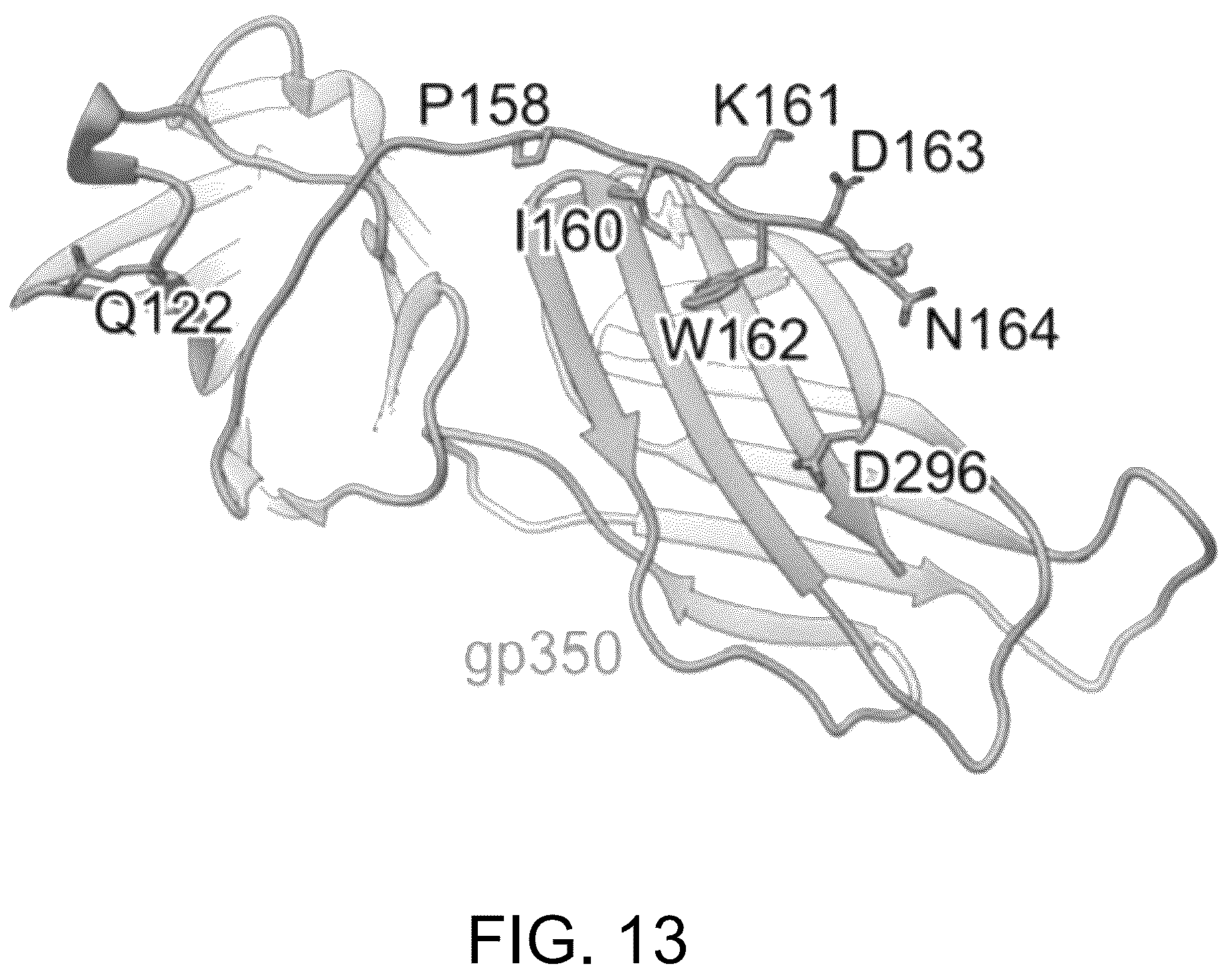 Patent US12410240 Figure 20 – Antibodies and methods for the diagnosis and treatment of Epstein Barr virus infection