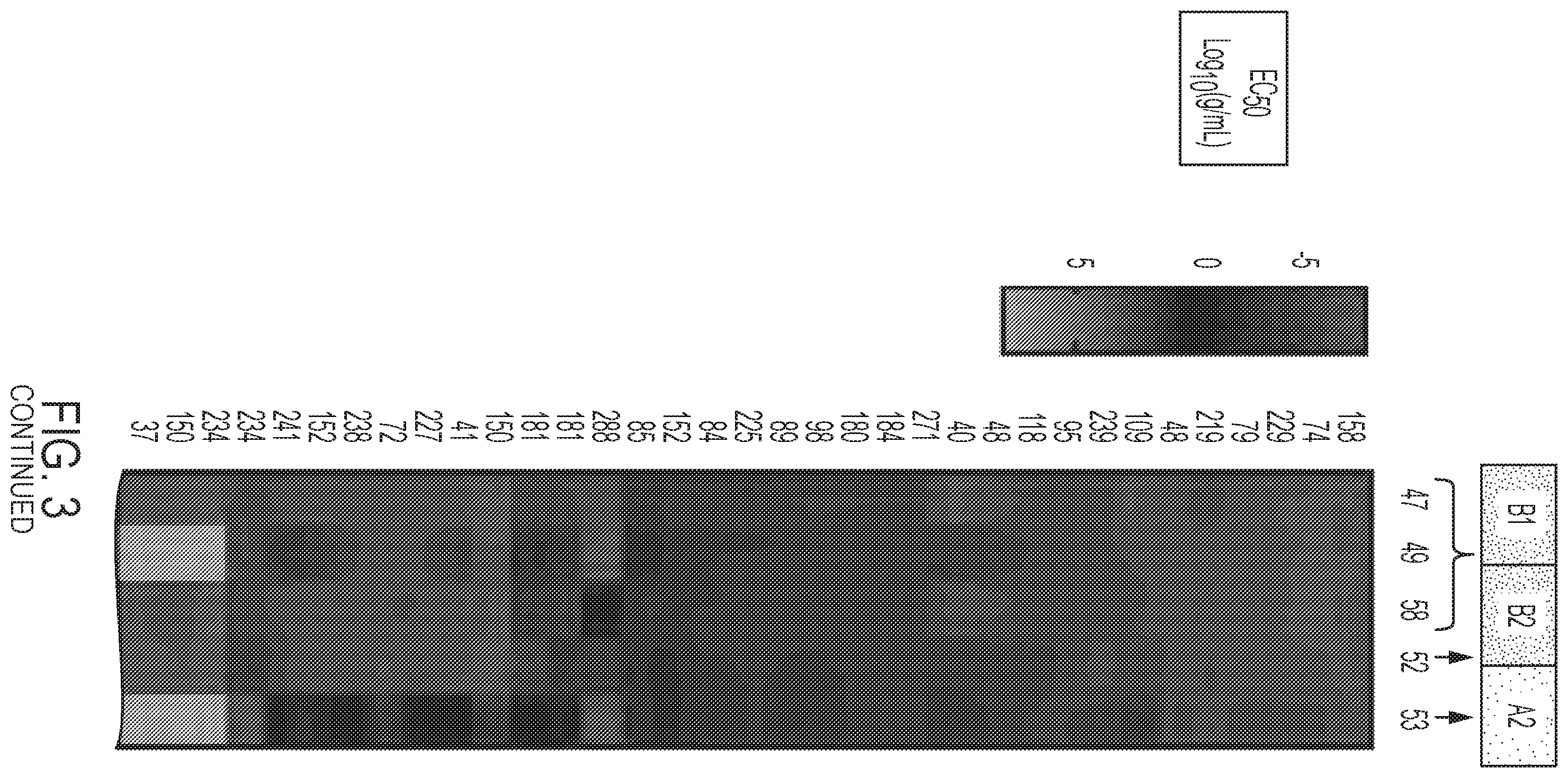 Patent US12410241 Figure 3 – Human monoclonal antibodies to enterovirus D68