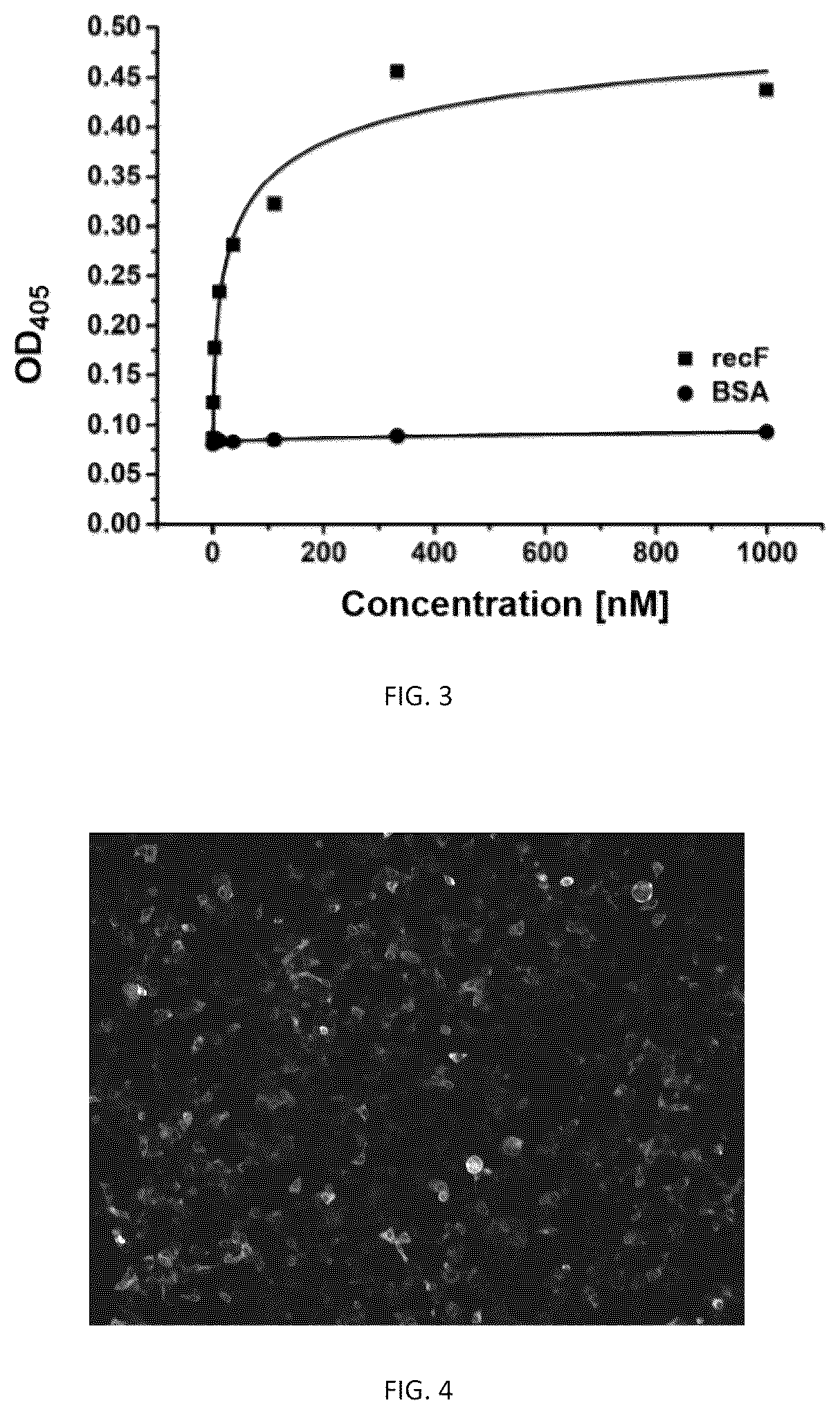 Patent US12410242 Figure 2 – C-based single domain antibody for neutralizing respiratory syncytial virus and application thereof