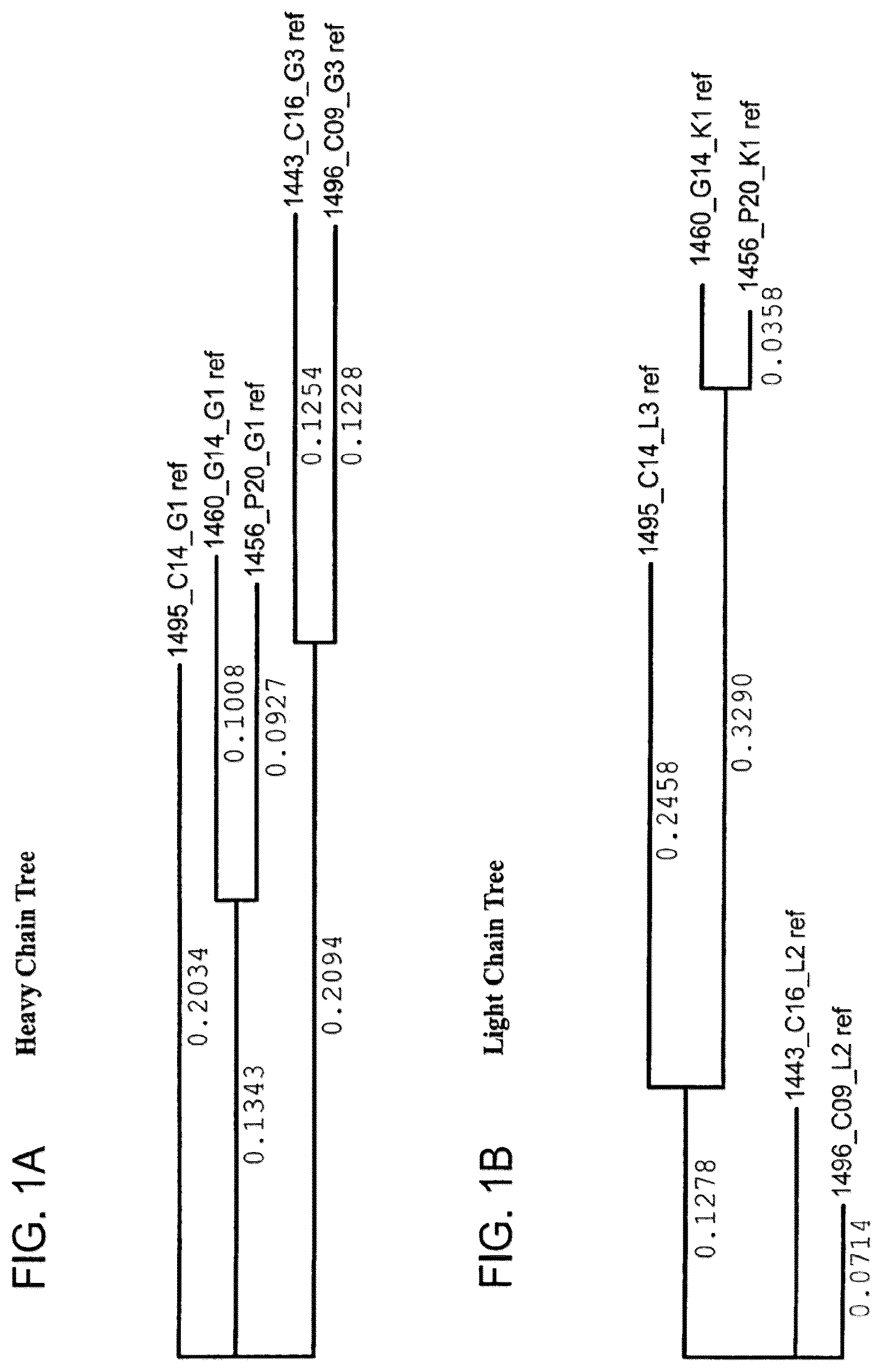 Patent US12410243 Figure 1 – Methods of treating HIV-1 infection utilizing broadly neutralizing human immunodeficiency virus type 1 (HIV-1) GP120-specific monoclonal antibodies