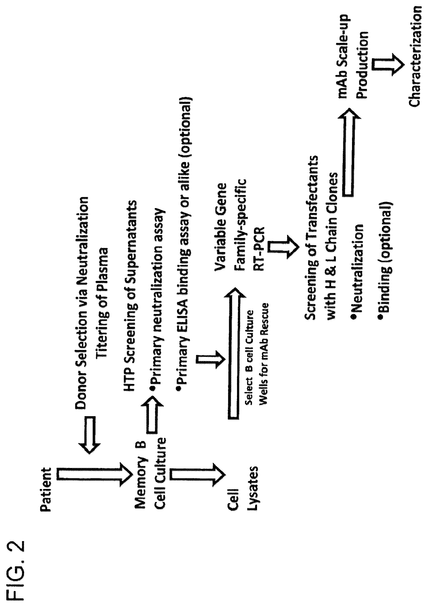 Patent US12410243 Figure 2 – Methods of treating HIV-1 infection utilizing broadly neutralizing human immunodeficiency virus type 1 (HIV-1) GP120-specific monoclonal antibodies