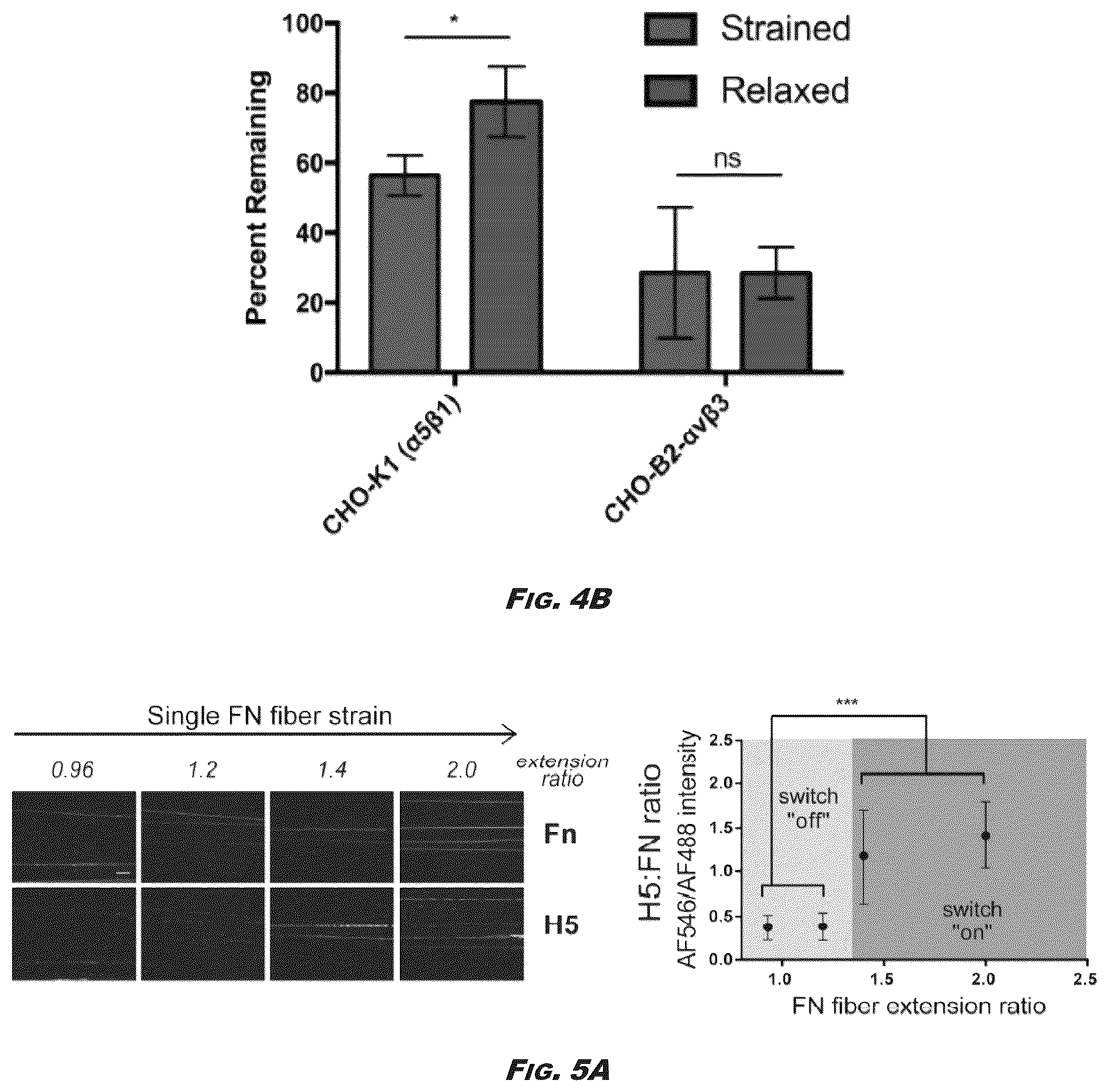 Patent US12410245 Figure 5 – Compositions and methods for detecting and regulating fibronectin-integrin interaction and signaling