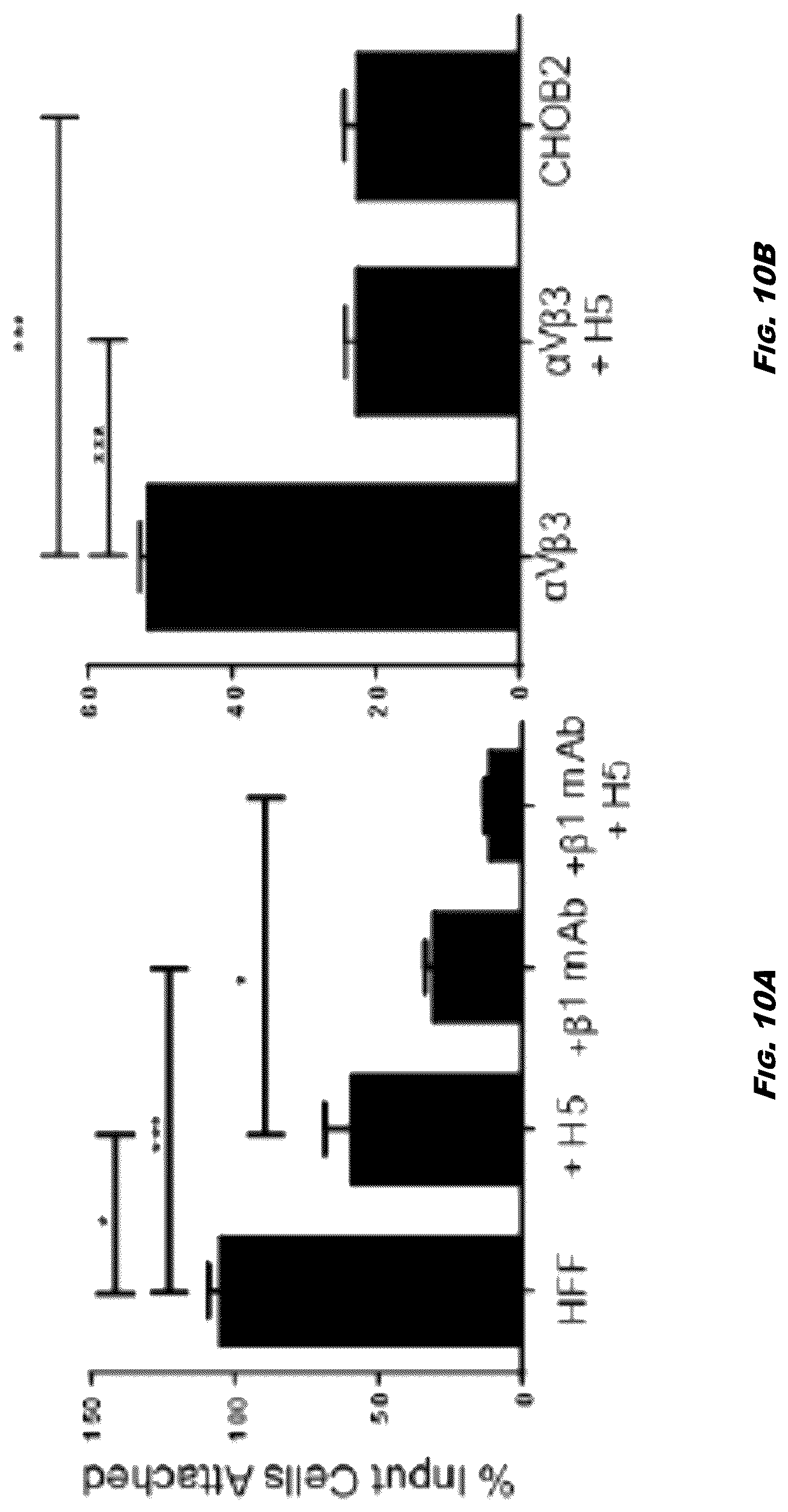 Patent US12410245 Figure 14 – Compositions and methods for detecting and regulating fibronectin-integrin interaction and signaling