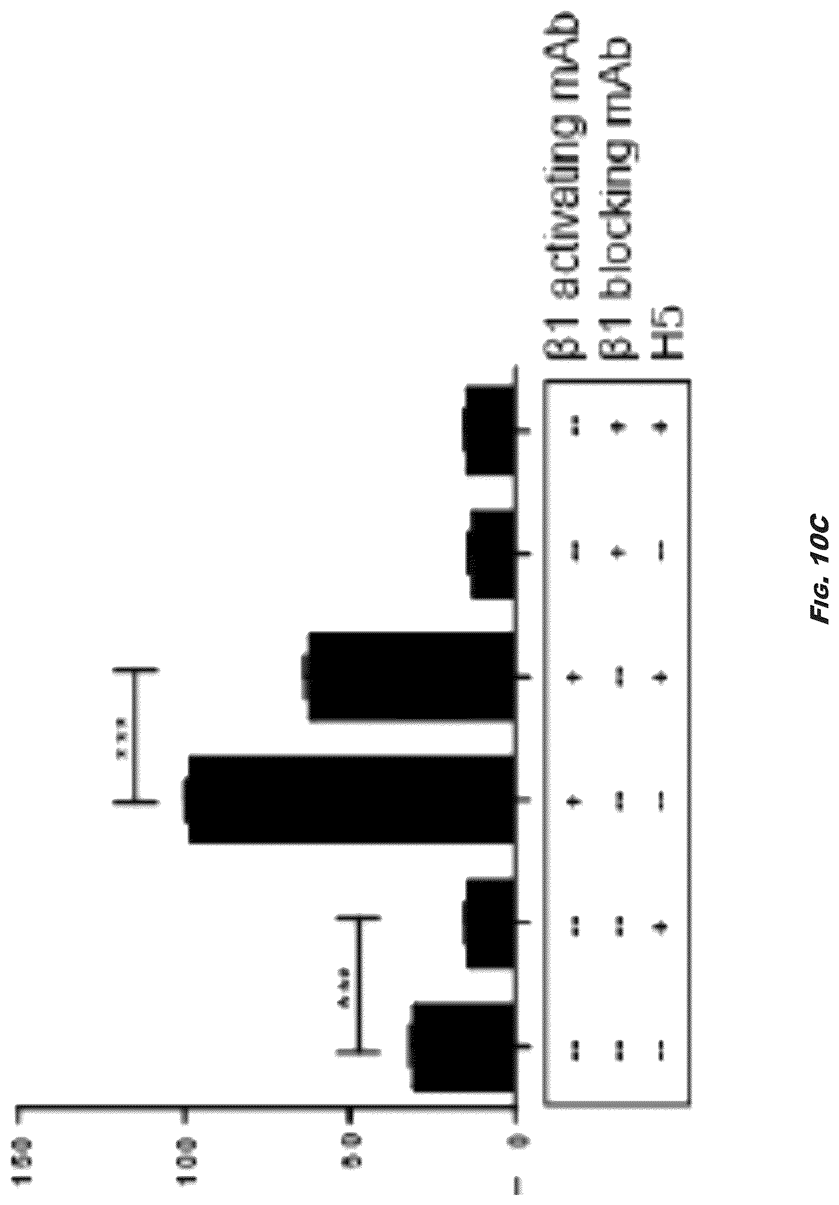 Patent US12410245 Figure 15 – Compositions and methods for detecting and regulating fibronectin-integrin interaction and signaling