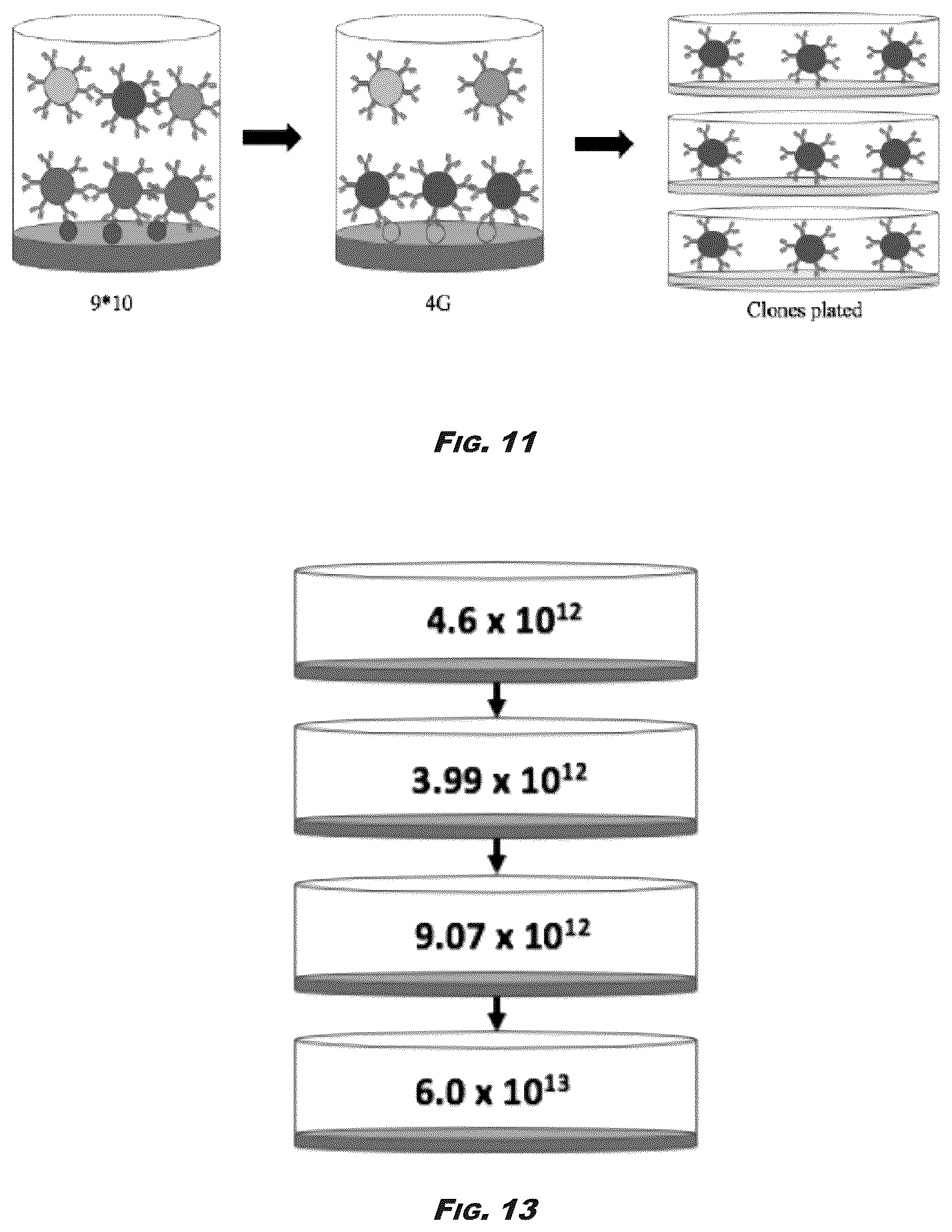 Patent US12410245 Figure 16 – Compositions and methods for detecting and regulating fibronectin-integrin interaction and signaling