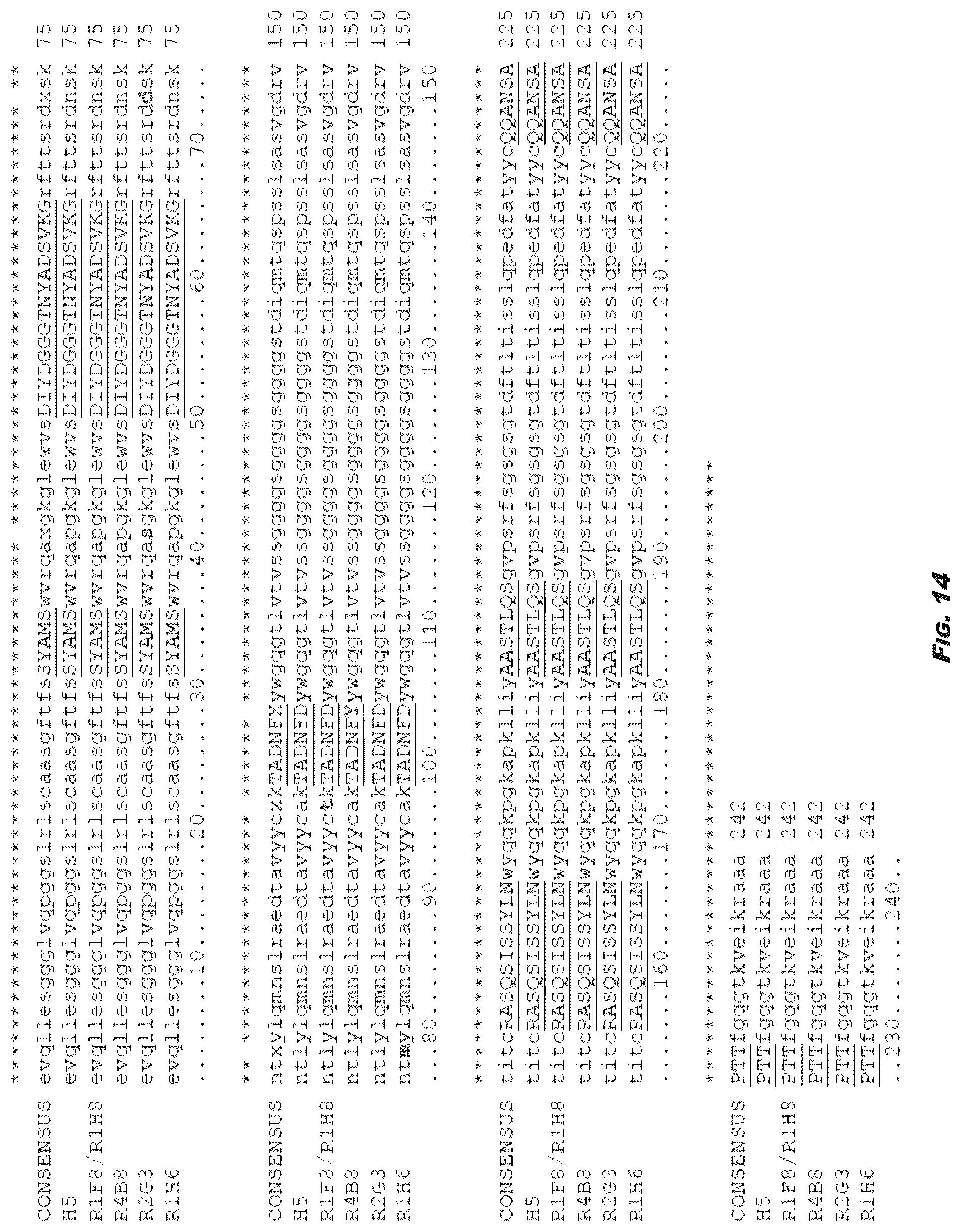 Patent US12410245 Figure 18 – Compositions and methods for detecting and regulating fibronectin-integrin interaction and signaling