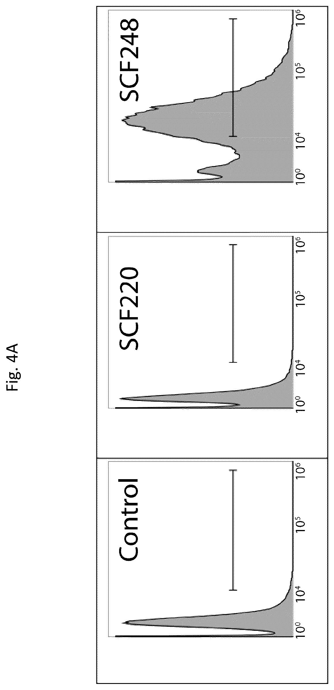 Patent US12410246 Figure 4 – Anti-stem cell factor antibodies and methods of blocking the interaction between SCF and c-Kit