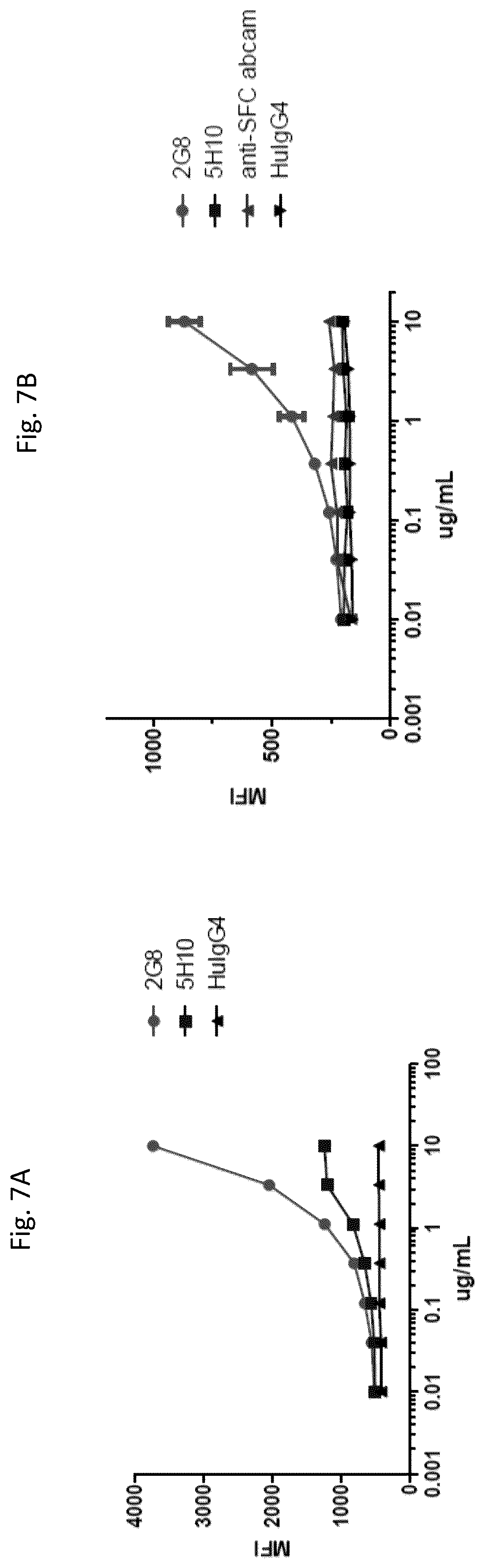 Patent US12410246 Figure 8 – Anti-stem cell factor antibodies and methods of blocking the interaction between SCF and c-Kit