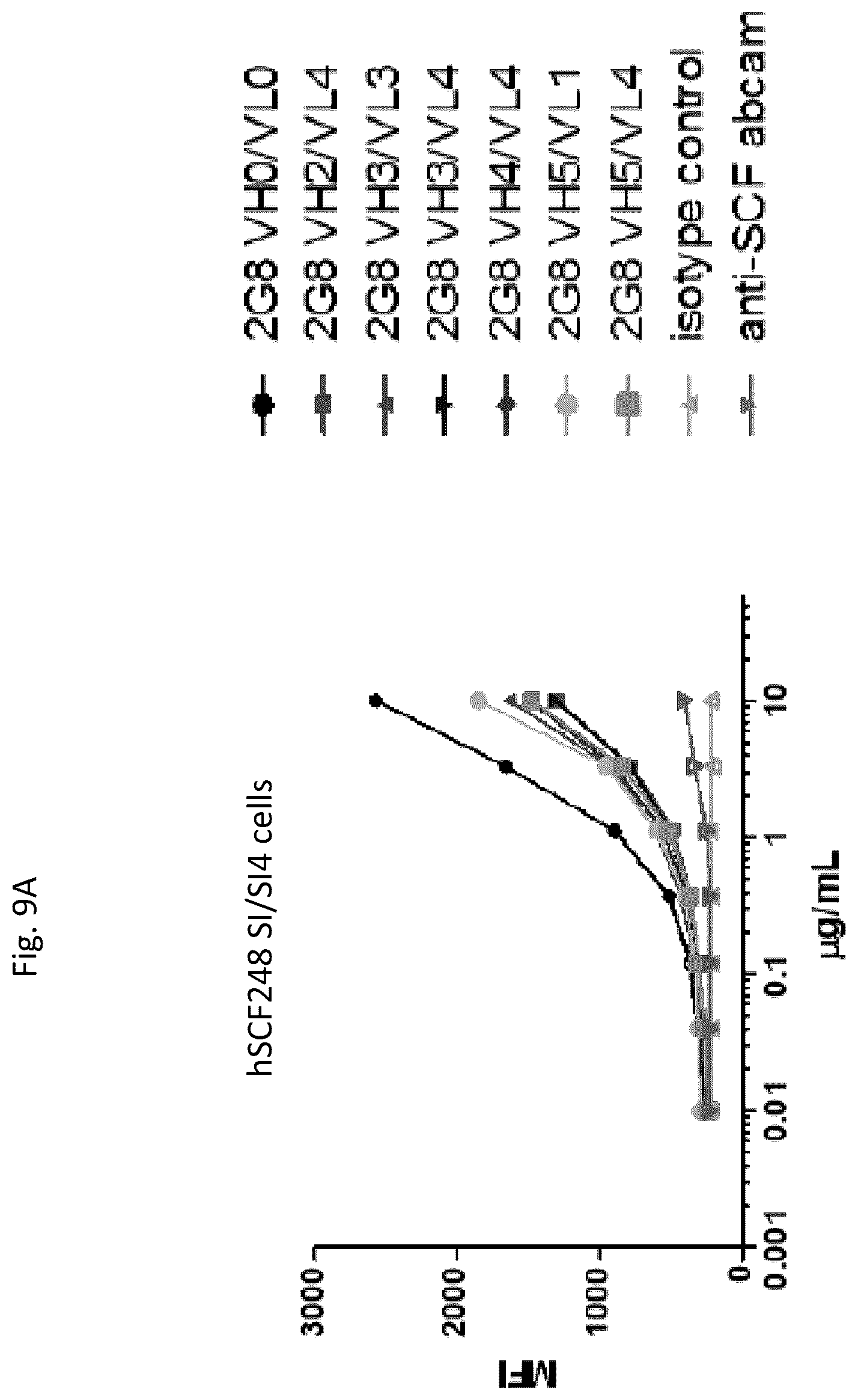 Patent US12410246 Figure 11 – Anti-stem cell factor antibodies and methods of blocking the interaction between SCF and c-Kit
