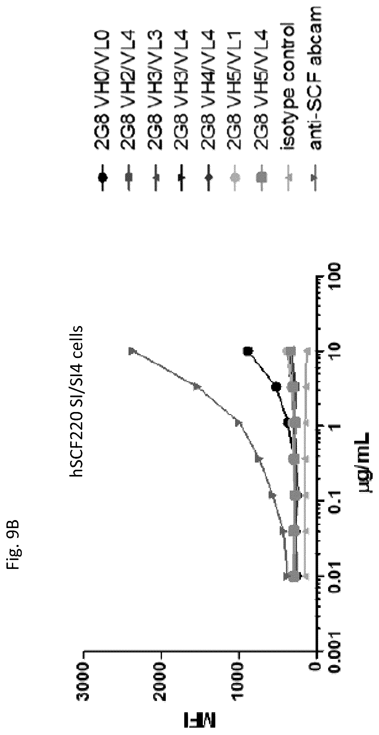 Patent US12410246 Figure 12 – Anti-stem cell factor antibodies and methods of blocking the interaction between SCF and c-Kit