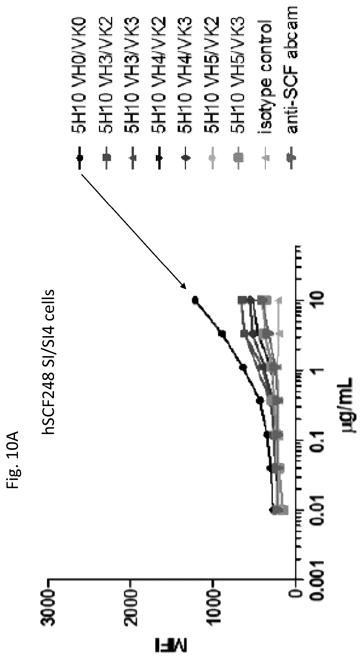 Patent US12410246 Figure 13 – Anti-stem cell factor antibodies and methods of blocking the interaction between SCF and c-Kit