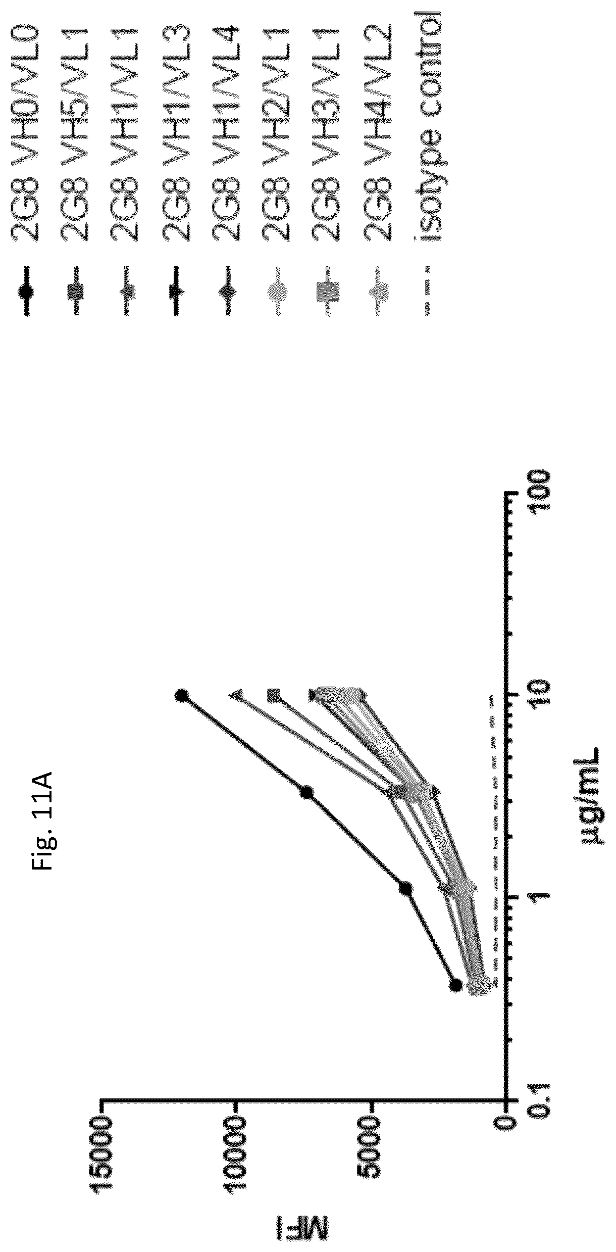 Patent US12410246 Figure 15 – Anti-stem cell factor antibodies and methods of blocking the interaction between SCF and c-Kit