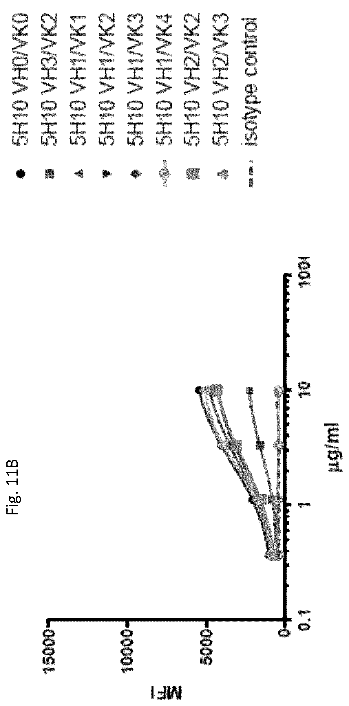 Patent US12410246 Figure 16 – Anti-stem cell factor antibodies and methods of blocking the interaction between SCF and c-Kit