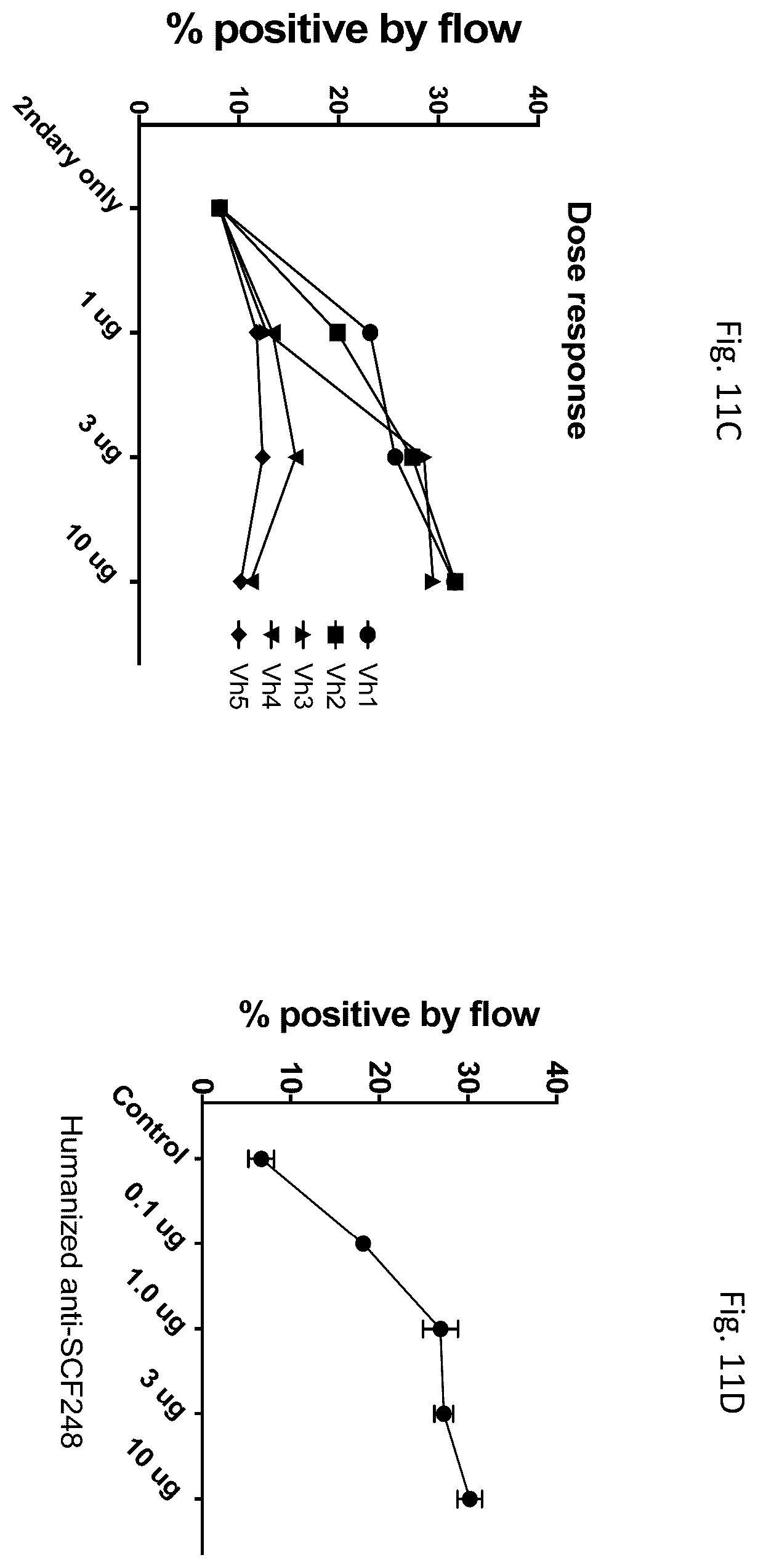 Patent US12410246 Figure 17 – Anti-stem cell factor antibodies and methods of blocking the interaction between SCF and c-Kit