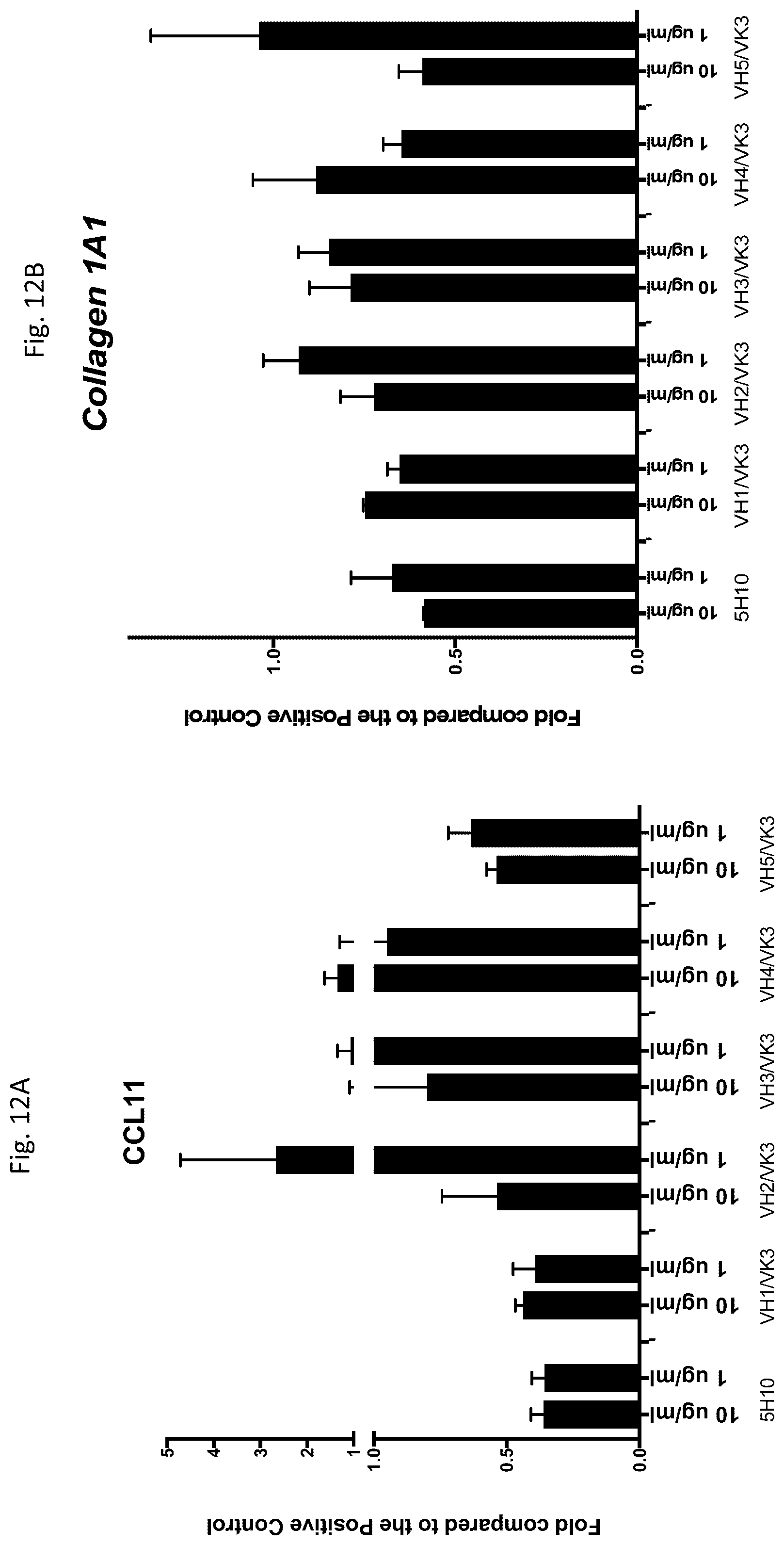 Patent US12410246 Figure 18 – Anti-stem cell factor antibodies and methods of blocking the interaction between SCF and c-Kit