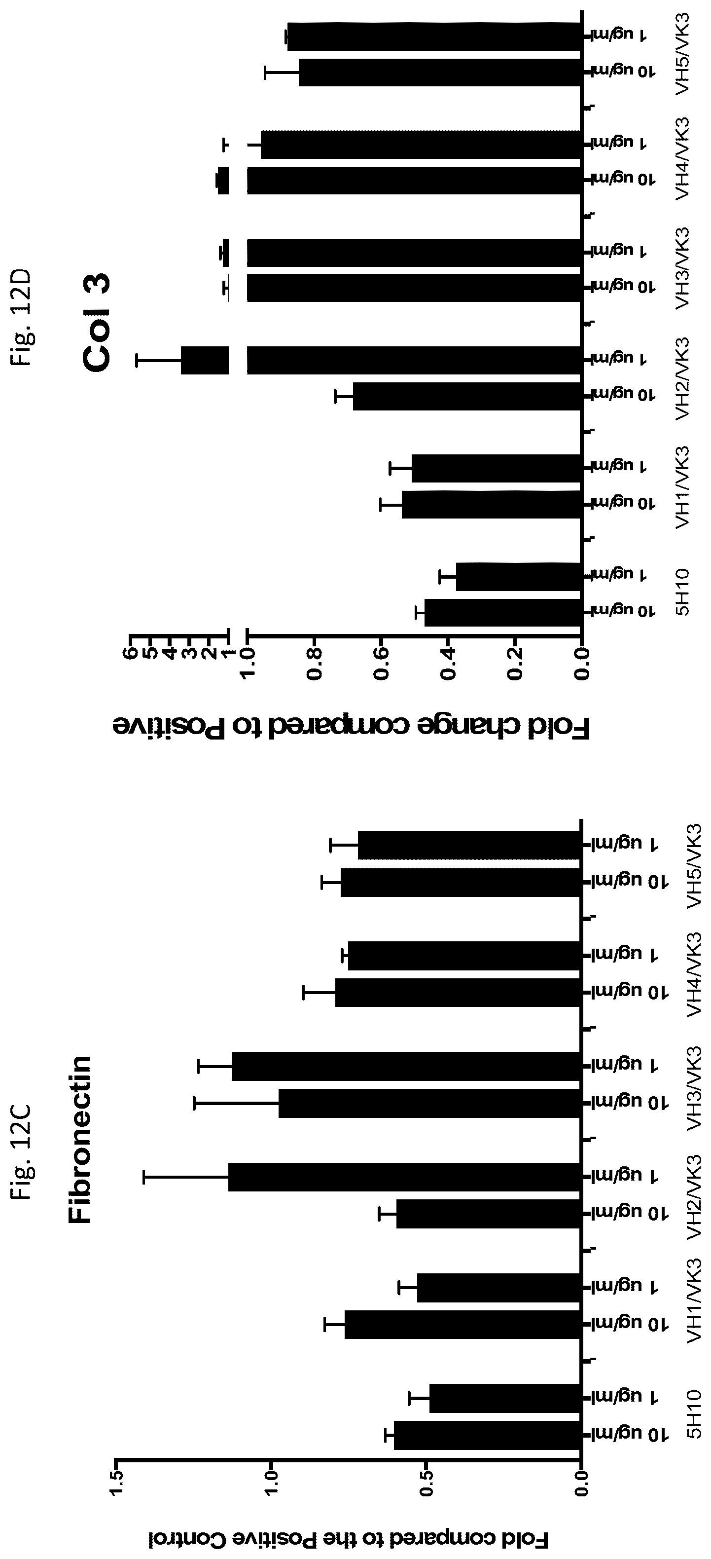 Patent US12410246 Figure 19 – Anti-stem cell factor antibodies and methods of blocking the interaction between SCF and c-Kit