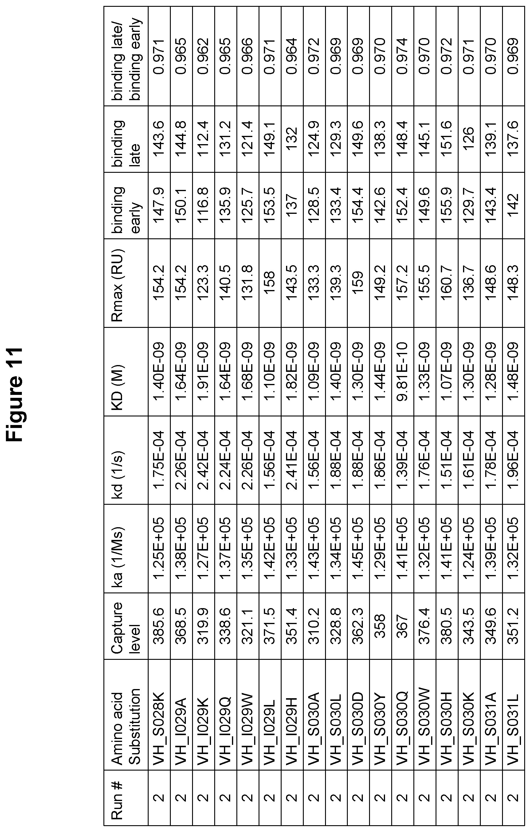 Patent US12410247 Figure 12 – Polynucleotides encoding antibodies that specifically bind to human IL-15