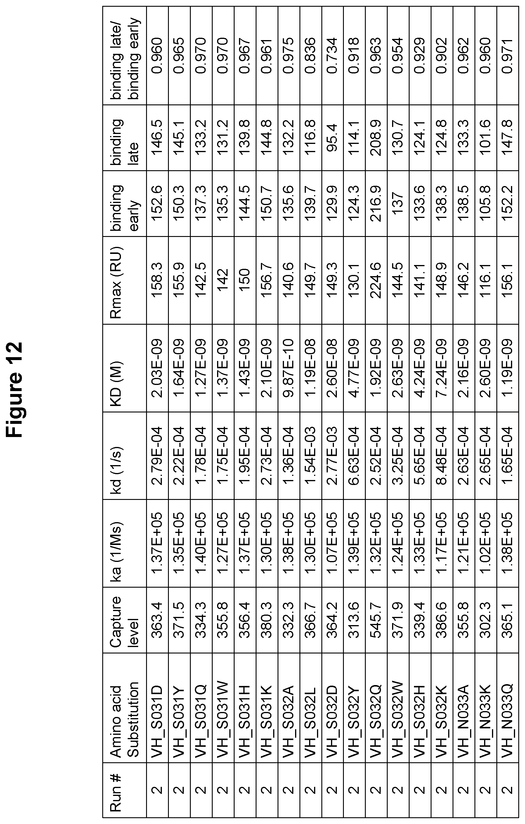 Patent US12410247 Figure 13 – Polynucleotides encoding antibodies that specifically bind to human IL-15