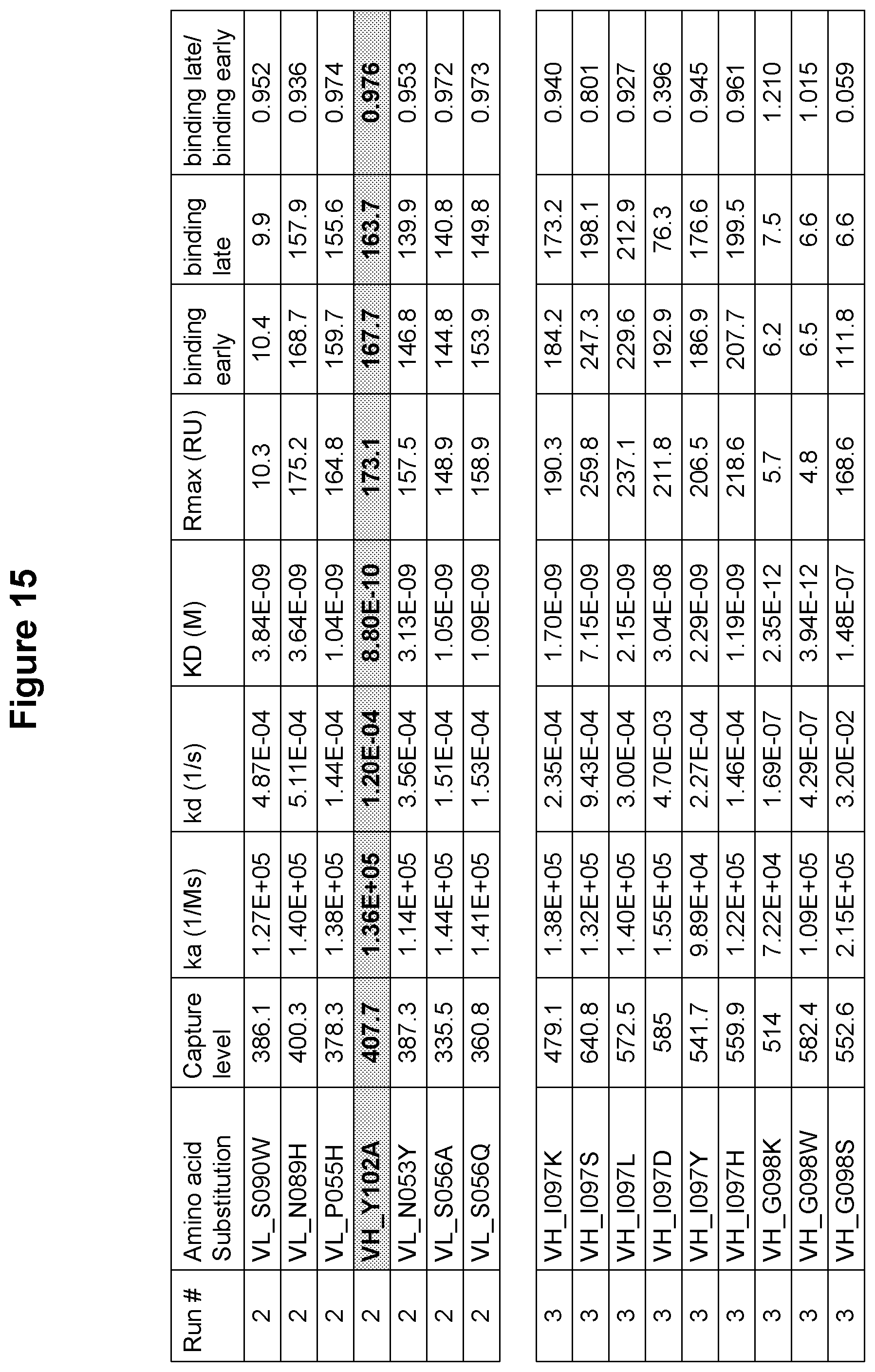 Patent US12410247 Figure 16 – Polynucleotides encoding antibodies that specifically bind to human IL-15