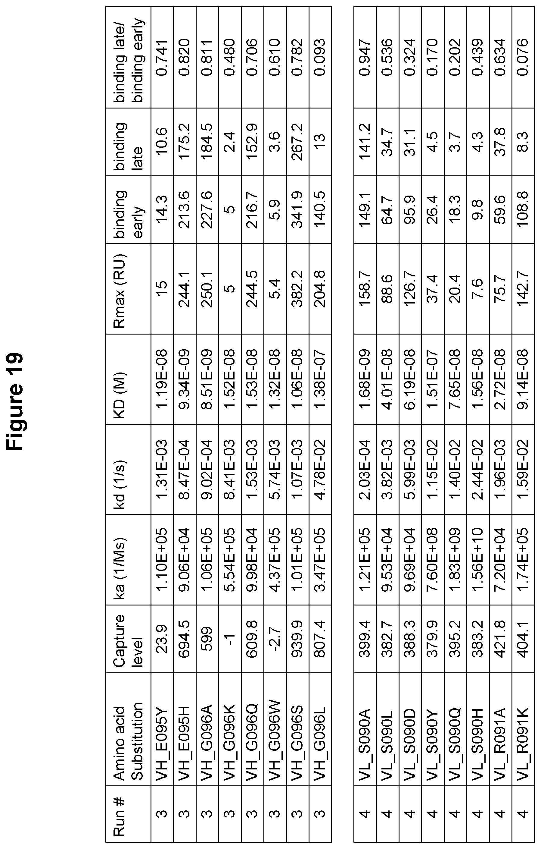 Patent US12410247 Figure 20 – Polynucleotides encoding antibodies that specifically bind to human IL-15